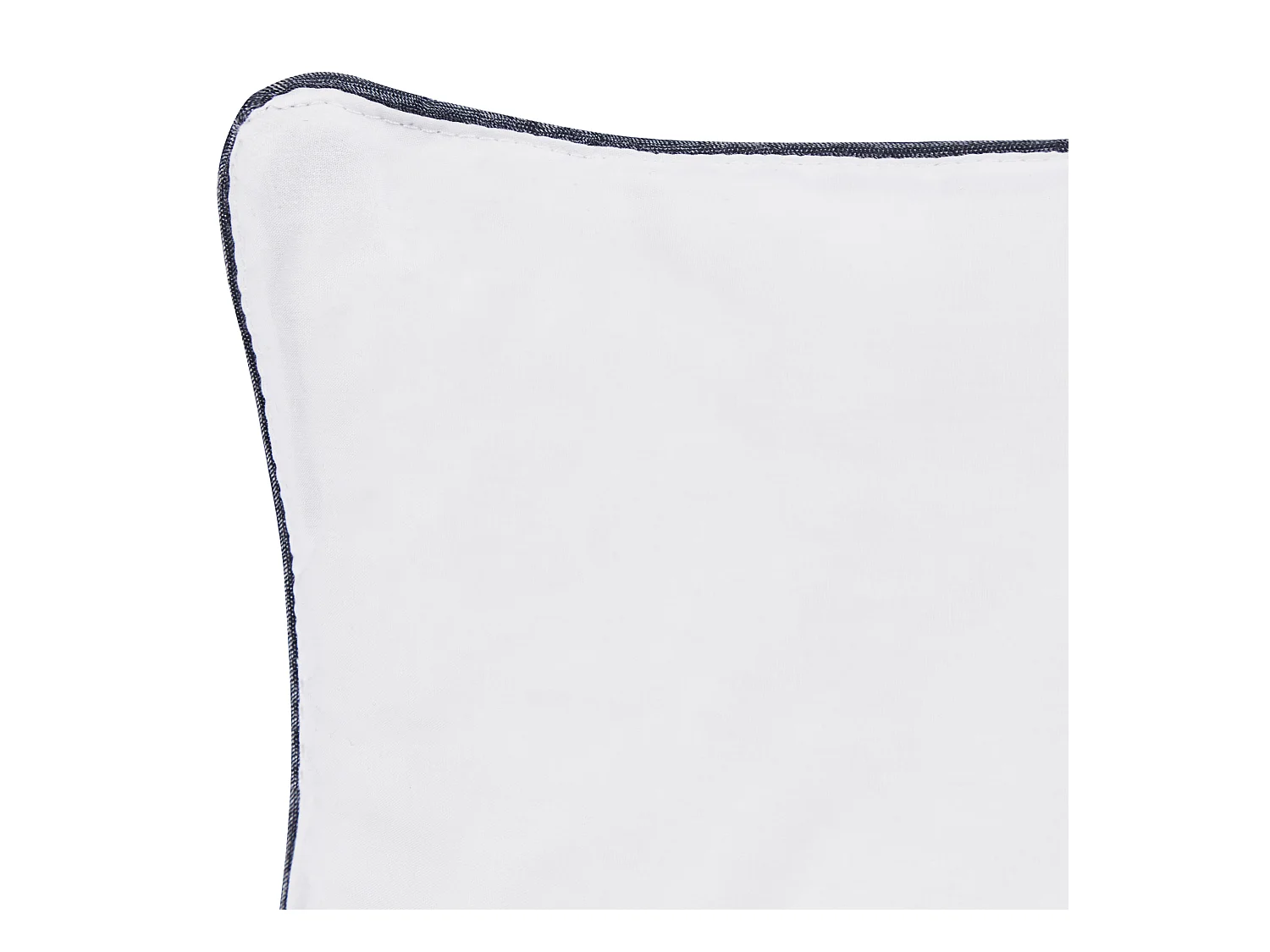 Lot de 2 oreillers PELISTER Haut Microfibre 80 x 80 cm Blanc
