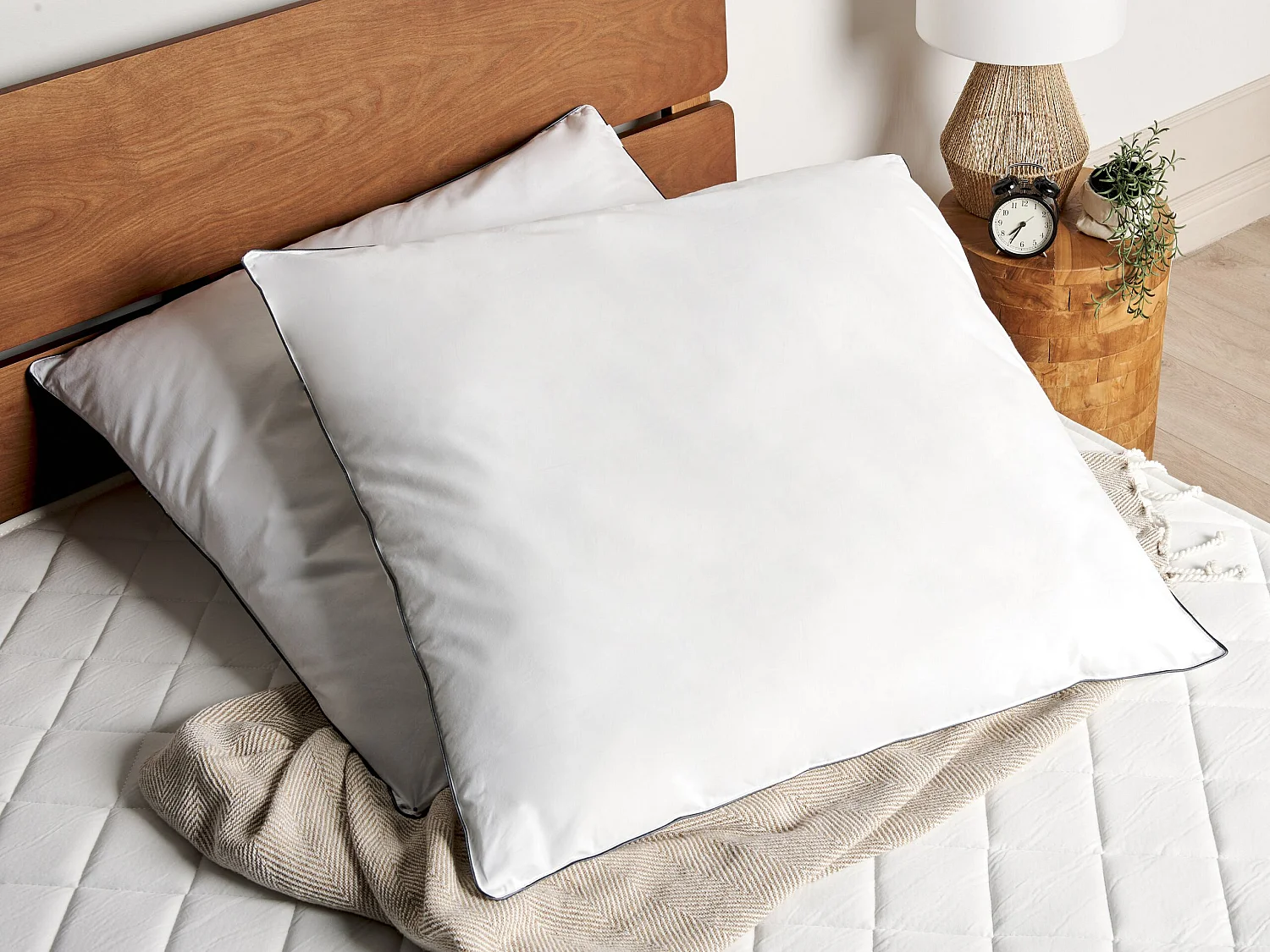 Lot de 2 oreillers PELISTER Haut Microfibre 80 x 80 cm Blanc