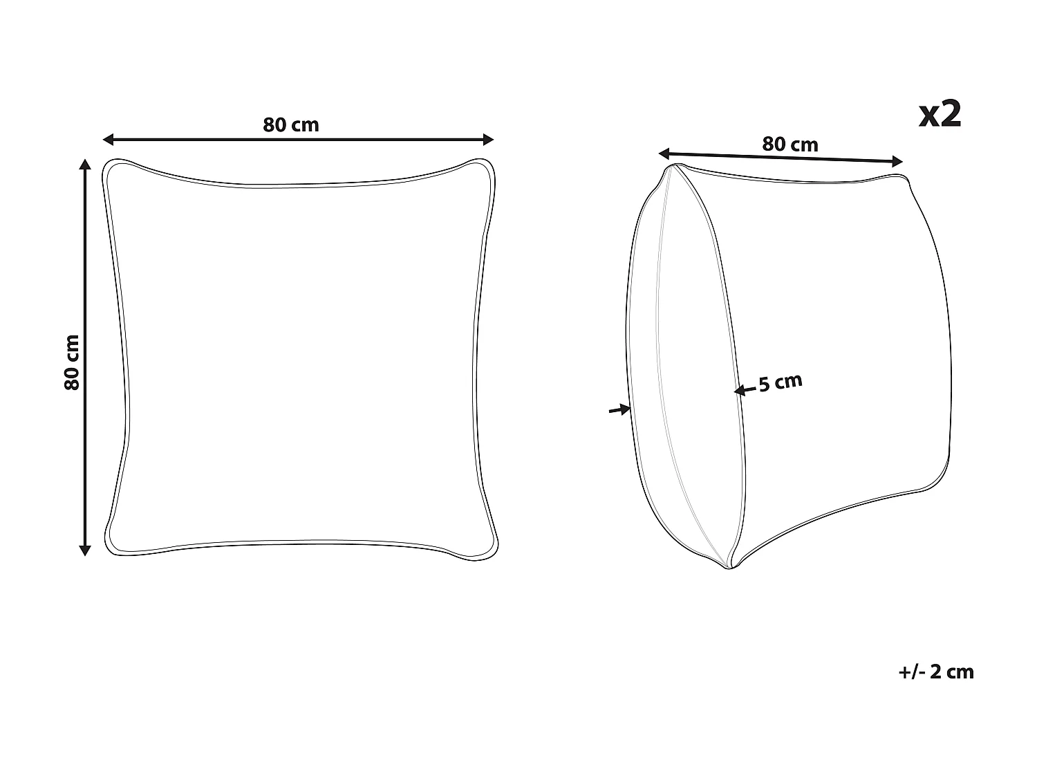 Lot de 2 oreillers PELISTER Haut Microfibre 80 x 80 cm Blanc