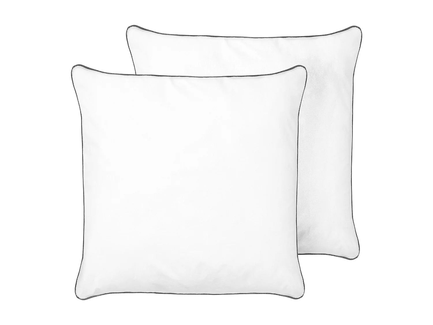 Conjunto de 2 almohadas PELISTER Alta Microfibra 80 x 80 cm Blanco