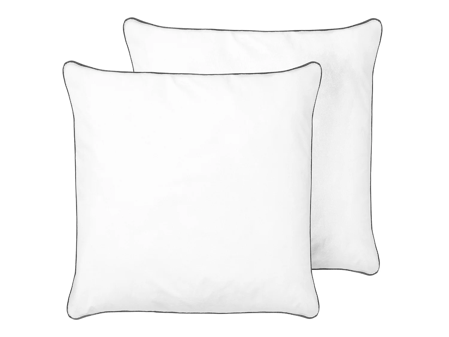 Lot de 2 oreillers PELISTER Haut Microfibre 80 x 80 cm Blanc
