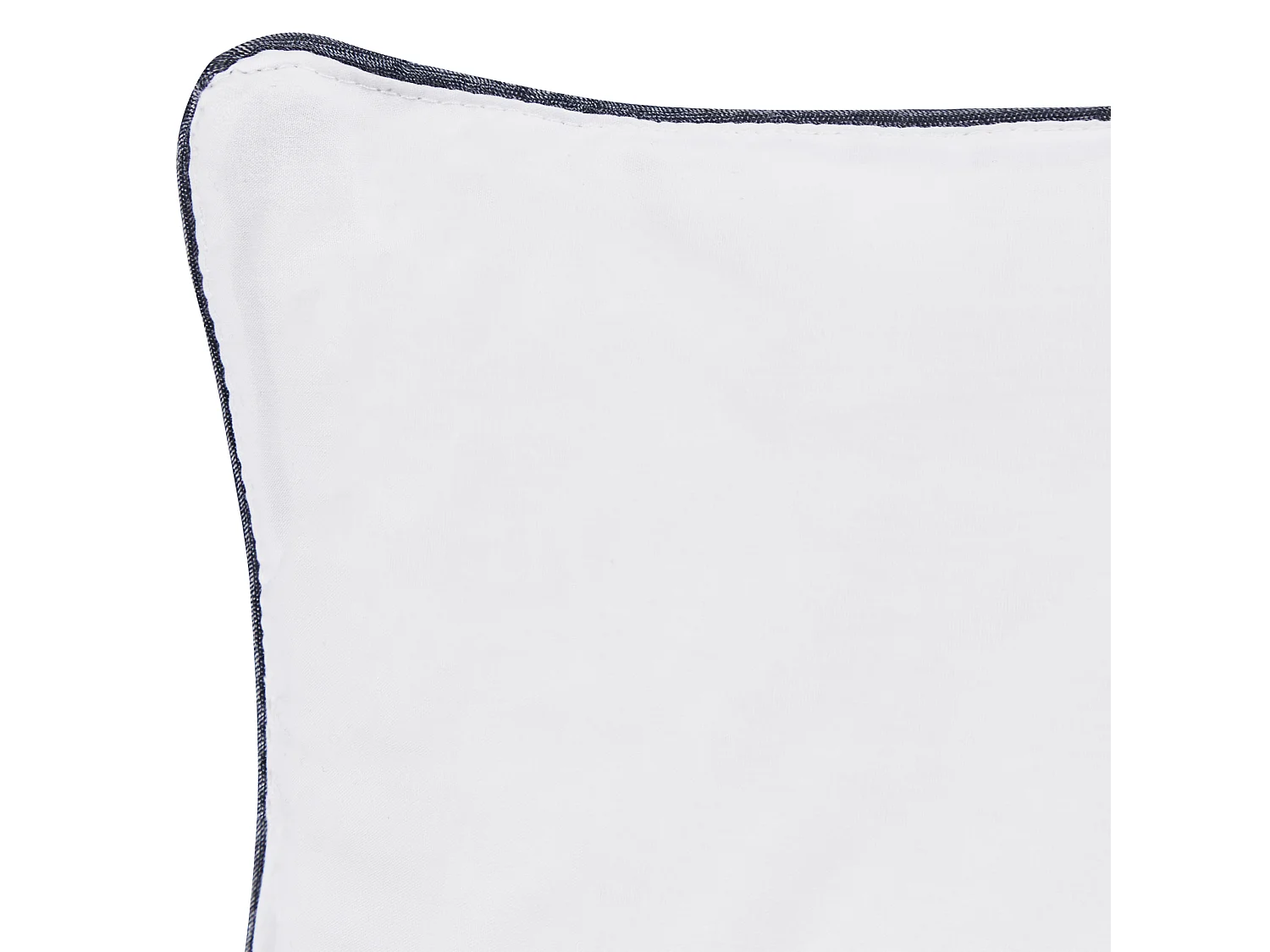Lot de 2 oreillers PELISTER Haut Microfibre 80 x 80 cm Blanc