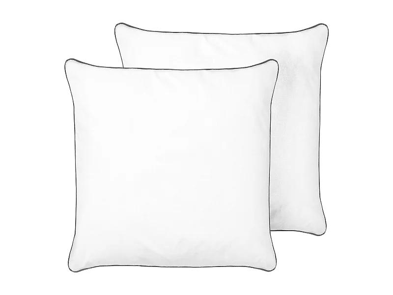 Conjunto de 2 almohadas PELISTER Alta Microfibra 80 x 80 cm Blanco