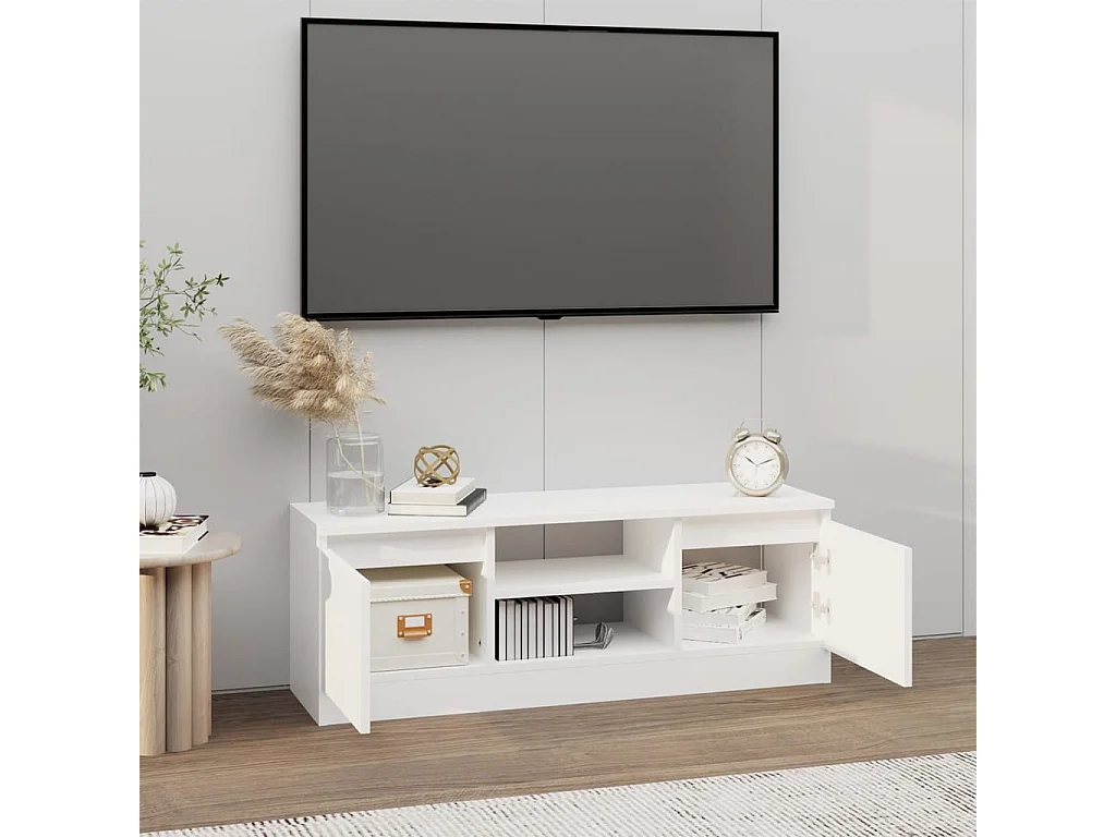 Meuble TV avec porte Blanc 102x30x36 cm