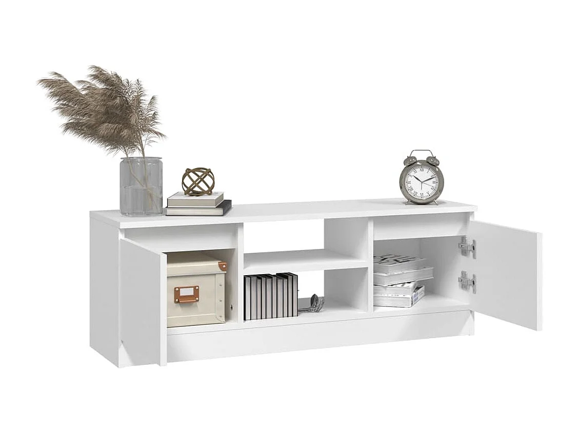 Meuble TV avec porte Blanc 102x30x36 cm