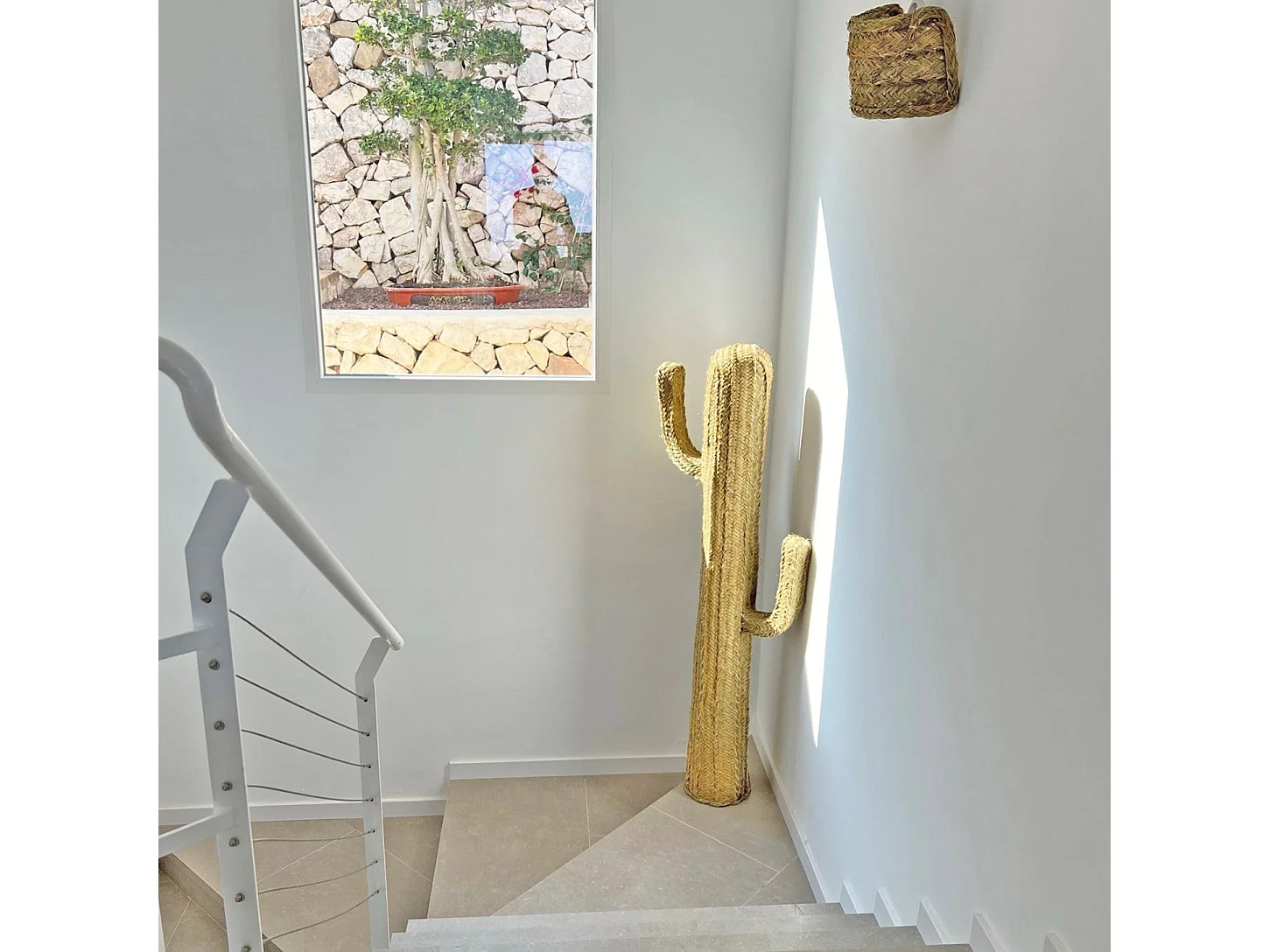 Cato decorativo de erva esparto 53 cm