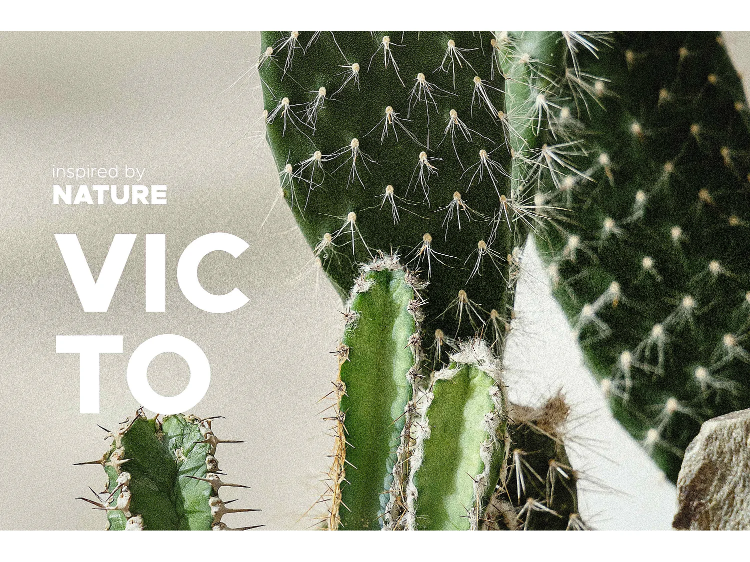 Teller-Set 6-tlg Speiseteller - Matt Pistazienfarben - VICTO