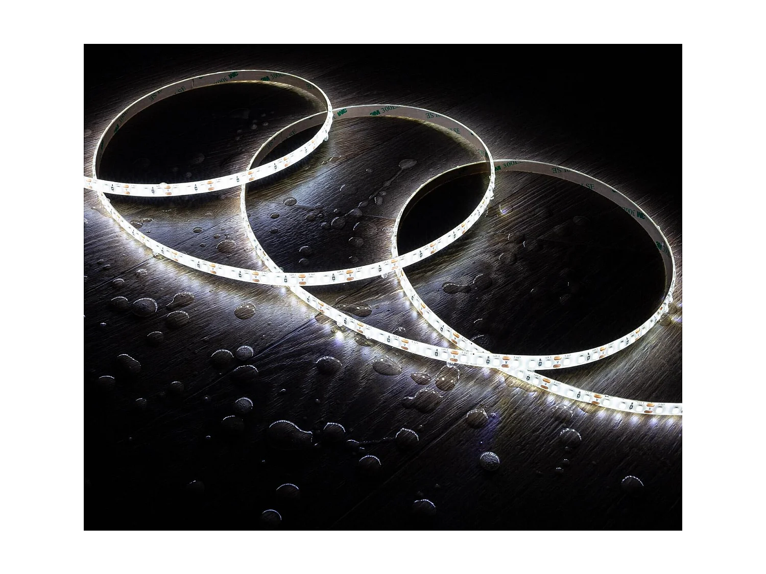 Ruban LED 12V SMD 120 LED/m 5m 10W/m 1000lm/m Largeur 8mm Coupe 2.5cm IP65 6000K Blanc froid