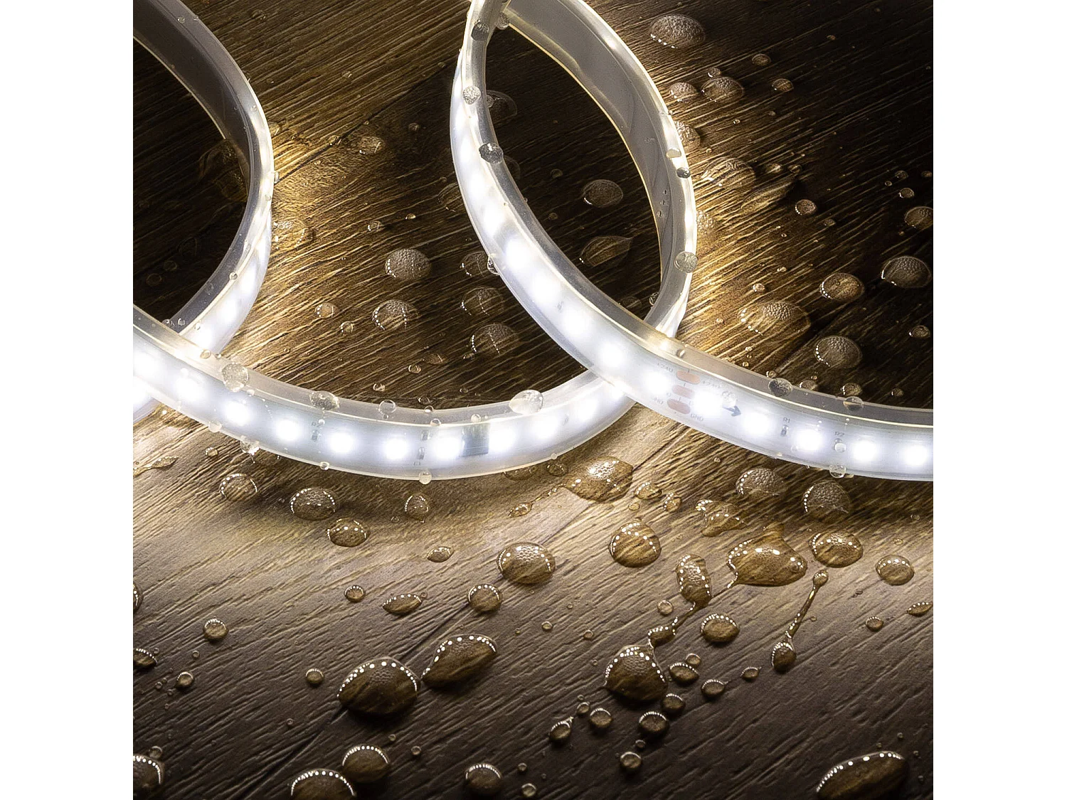 Ruban LED Digital SPI 24V Monochrome SMD 120 LED/m 10m Largeur 12mm Coupe 10cm IP67 4000K Blanc neutre