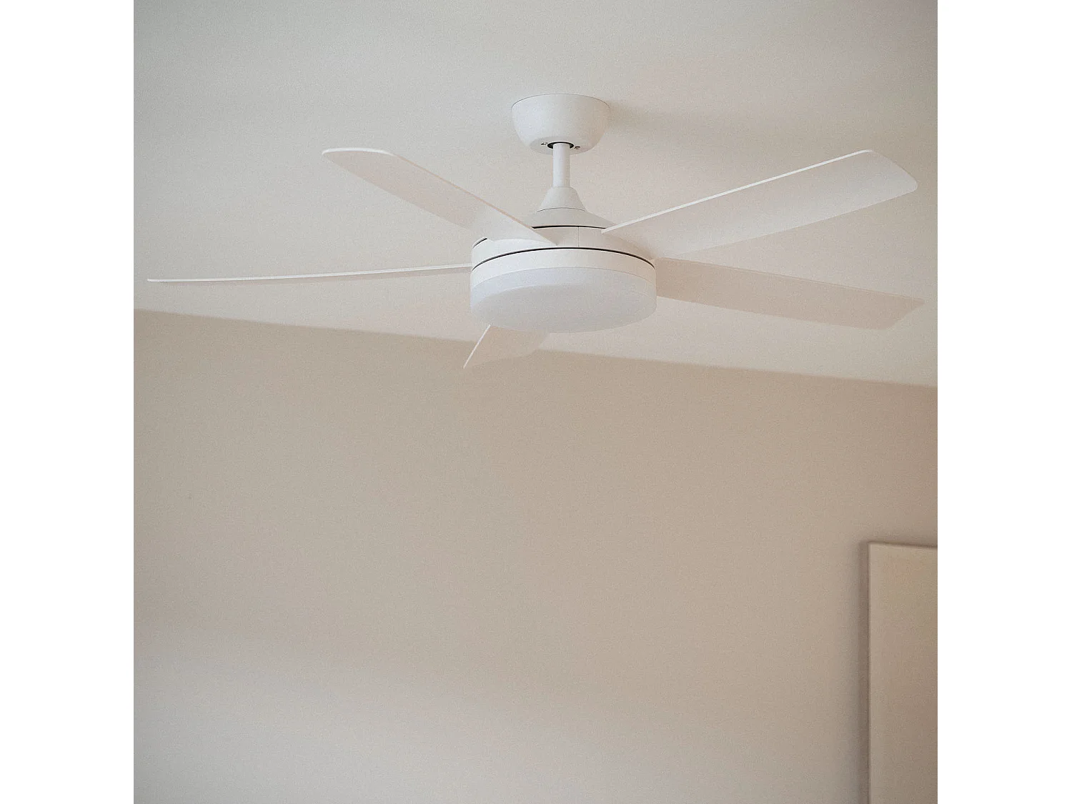 Ventilateur de Plafond Silencieux Patroclo Blanc 132cm Motor DC Blanc  Avec lumière, Télécommande, Wifi: True