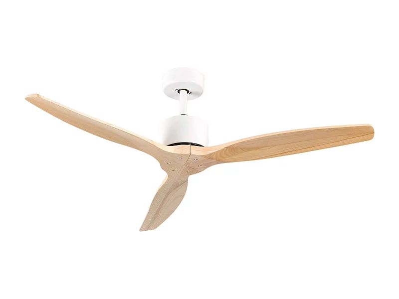 Ventilateur de plafond Nebraska 3 pales 55 W 6 vitesses Thinia Home