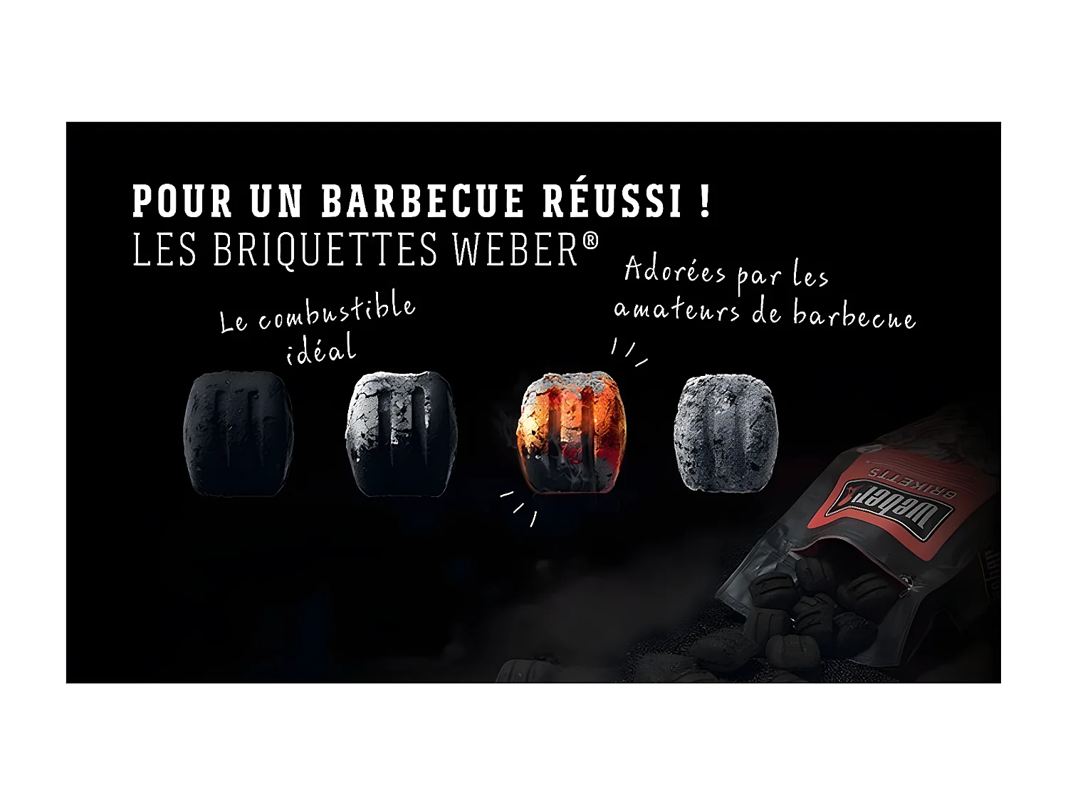 Weber Saco de briquetes de carvão de madeira 4kg - Qualidade superior