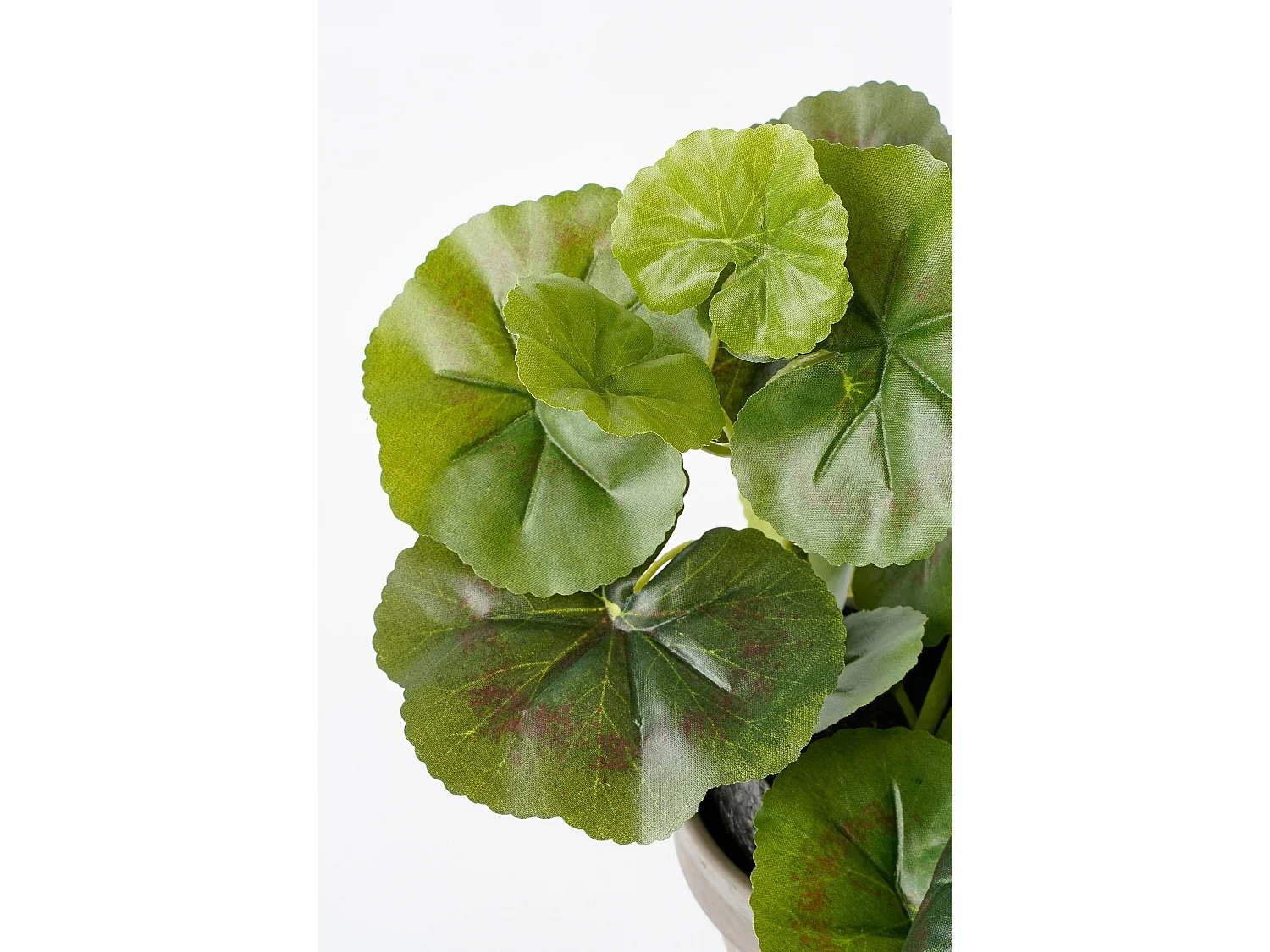 Plante artificielle en polyester et terre cuite - 34 x Ø20 - Blanc, rose - GERANIUM