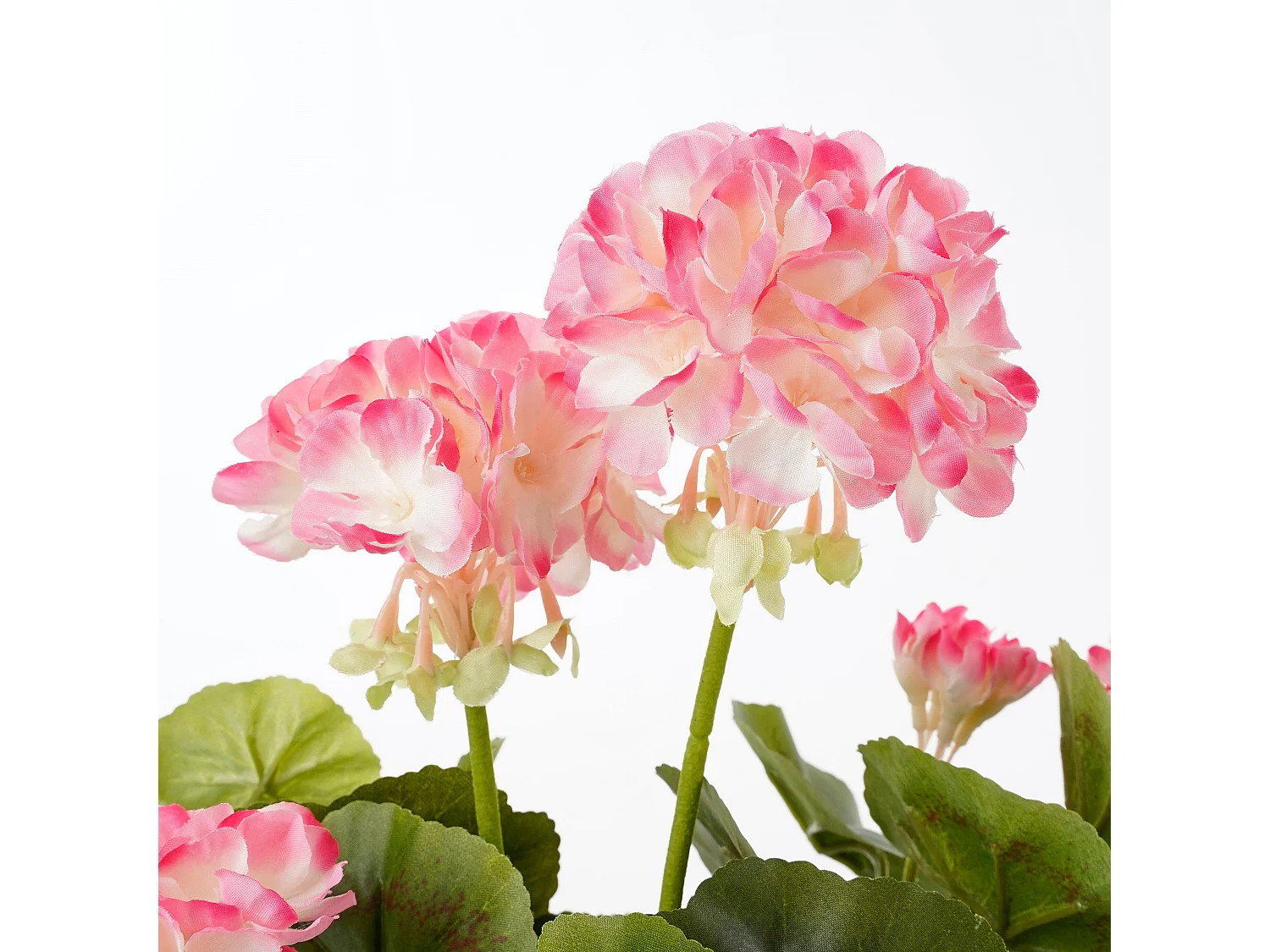 Plante artificielle en polyester et terre cuite - 34 x Ø20 - Blanc, rose - GERANIUM