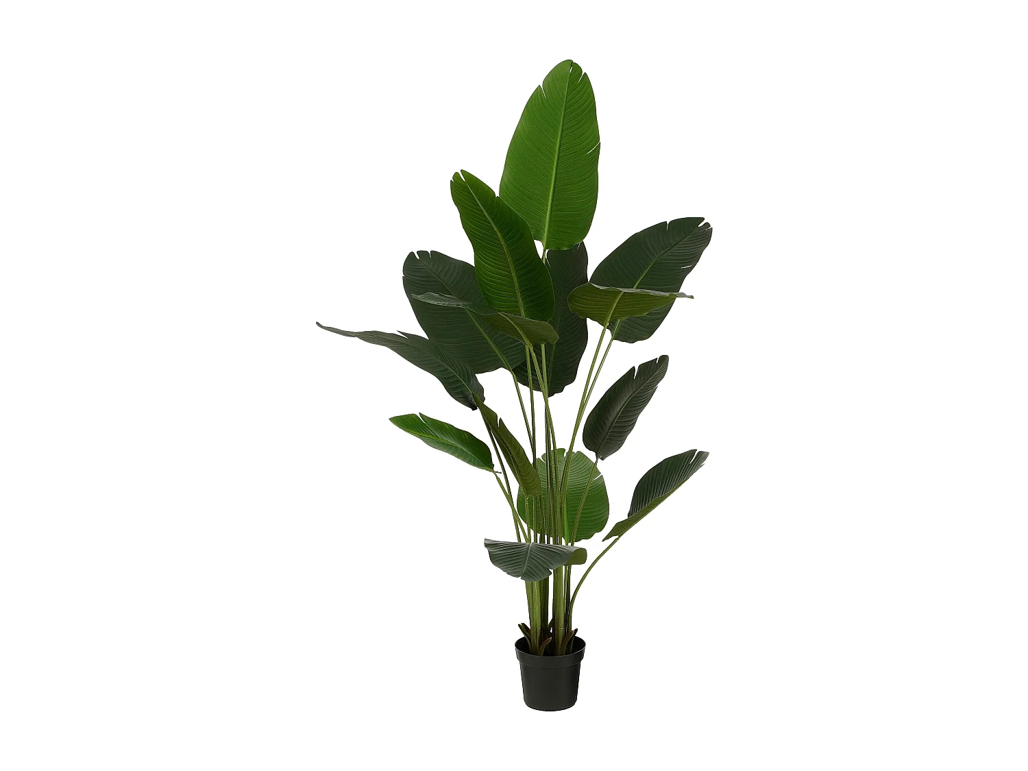 Plante artificielle en ethylène-acétate de vinyle et polyéthylène et ciment et mousse - 180 x Ø30 - Vert - BANANA TREE