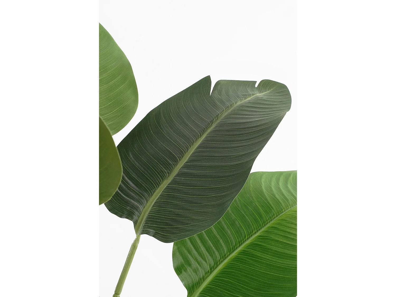 Plante artificielle en ethylène-acétate de vinyle et polyéthylène et ciment et mousse - 180 x Ø30 - Vert - BANANA TREE