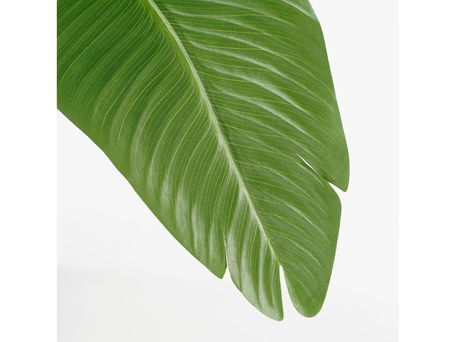 Plante artificielle en ethylène-acétate de vinyle et polyéthylène et ciment et mousse - 180 x Ø30 - Vert - BANANA TREE