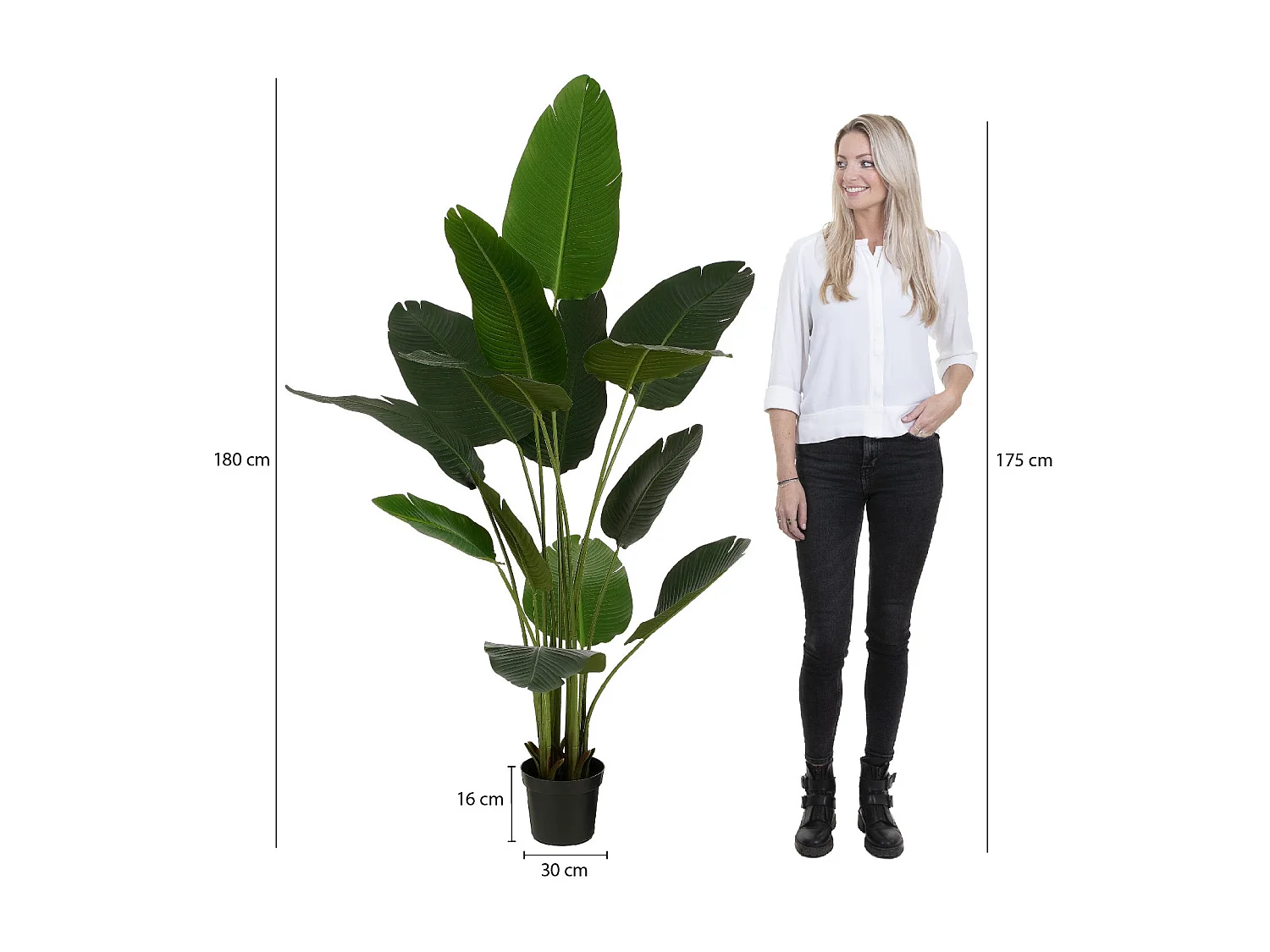 Plante artificielle en ethylène-acétate de vinyle et polyéthylène et ciment et mousse - 180 x Ø30 - Vert - BANANA TREE