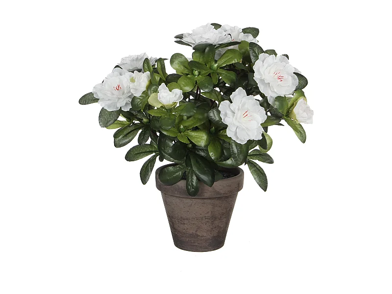 Pianta artificiale in  - 27 x Ø20 - Bianco - AZALEA