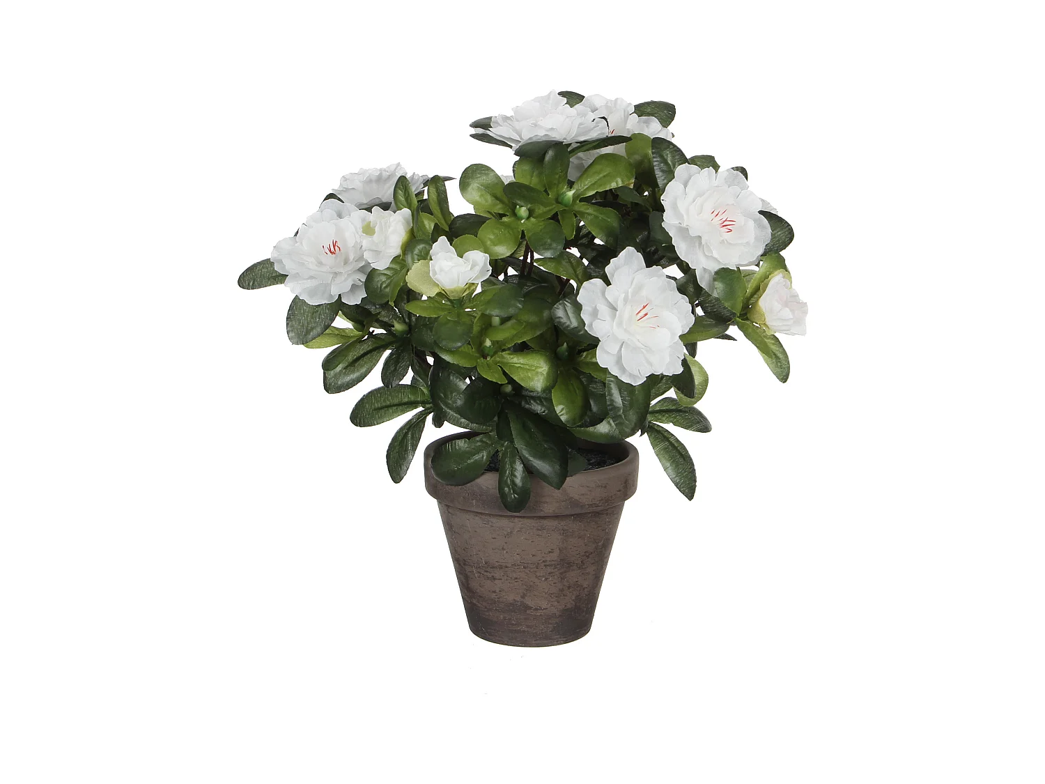 Plante artificielle en polyester et terre cuite - 27 x Ø20 - Blanc - AZALEA