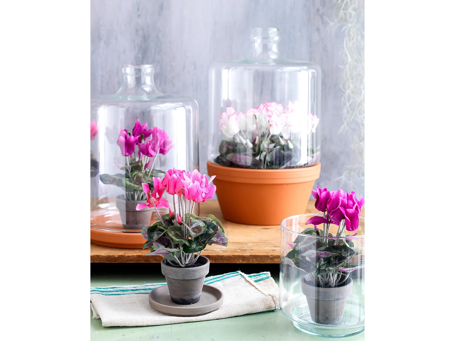 Plante artificielle en polyester et terre cuite - 30 x Ø30 - Rose clair - CYCLAMEN