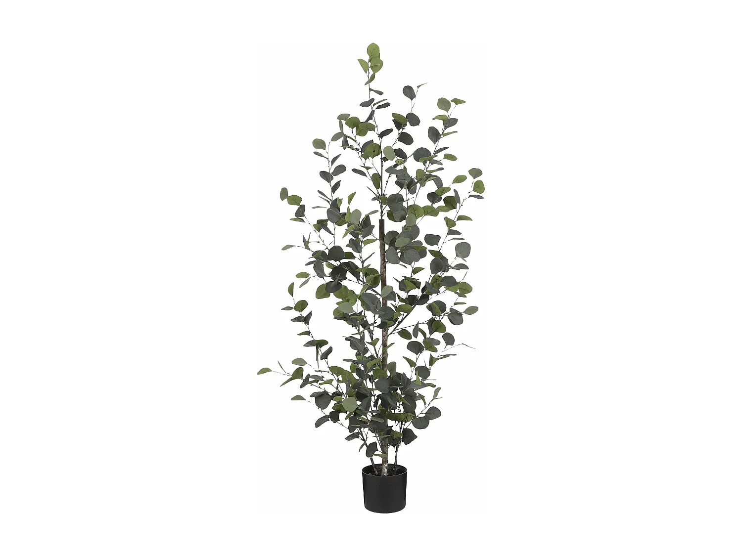 Pianta artificiale in  - H150 x Ø30 cm - Verde - EUCALYPTUS