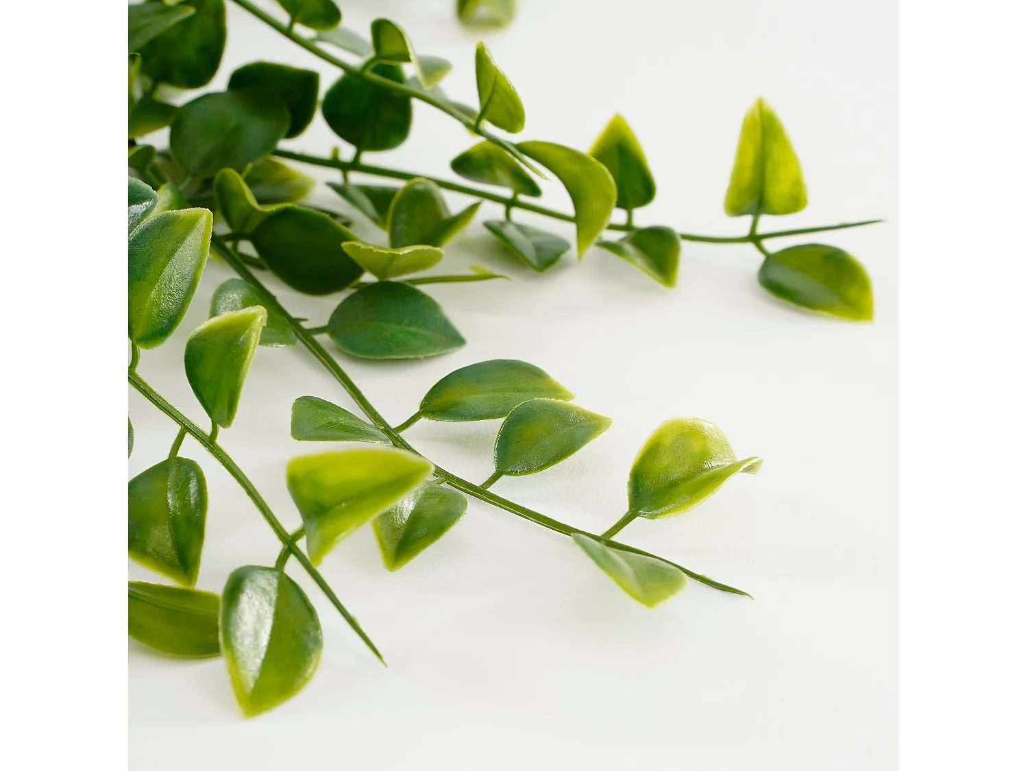 Hangende Kunstpflanze aus Plastik - 46 x Ø20 - Grün - FICUS