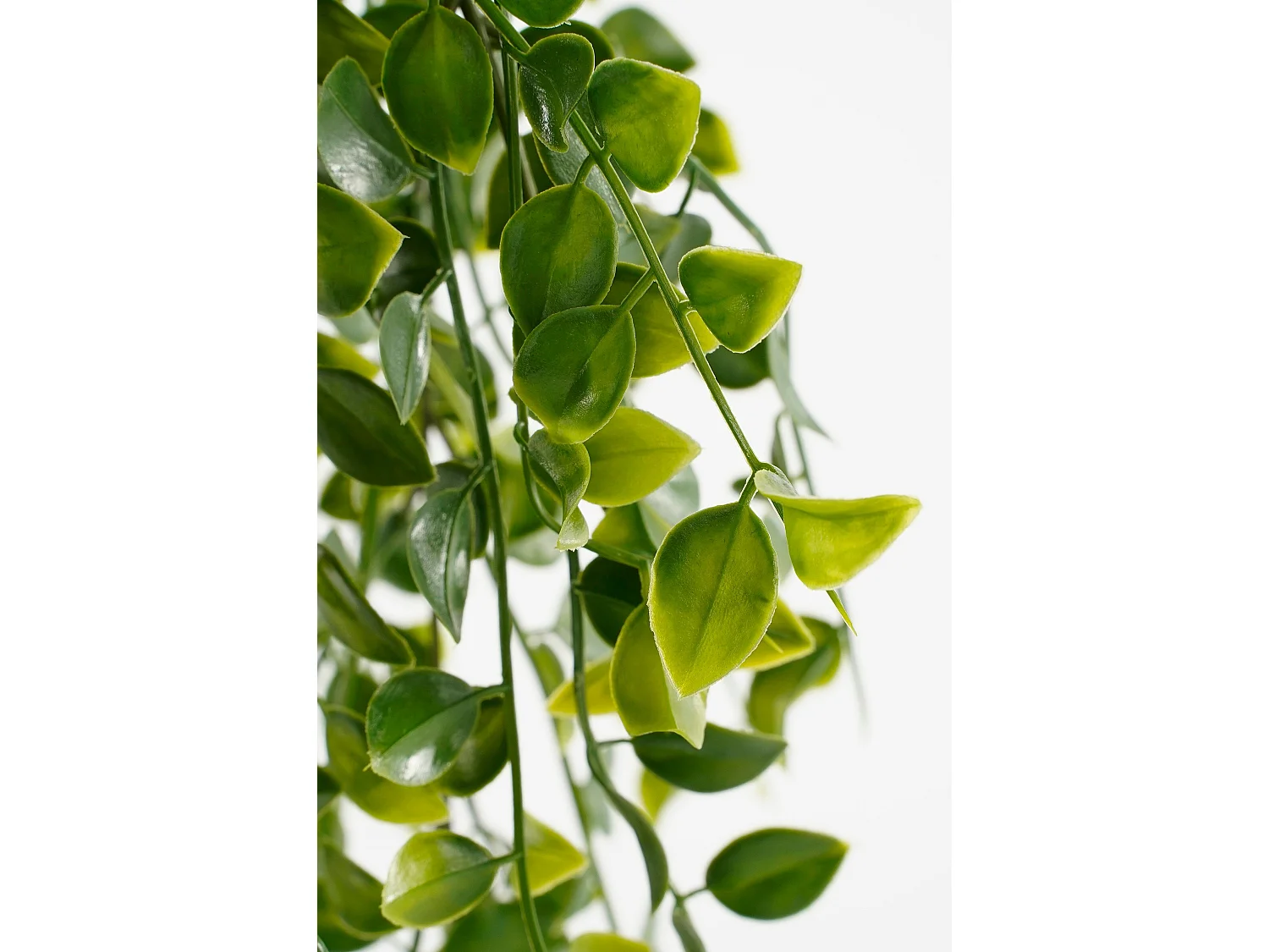 Hangende Kunstpflanze aus Plastik - 46 x Ø20 - Grün - FICUS