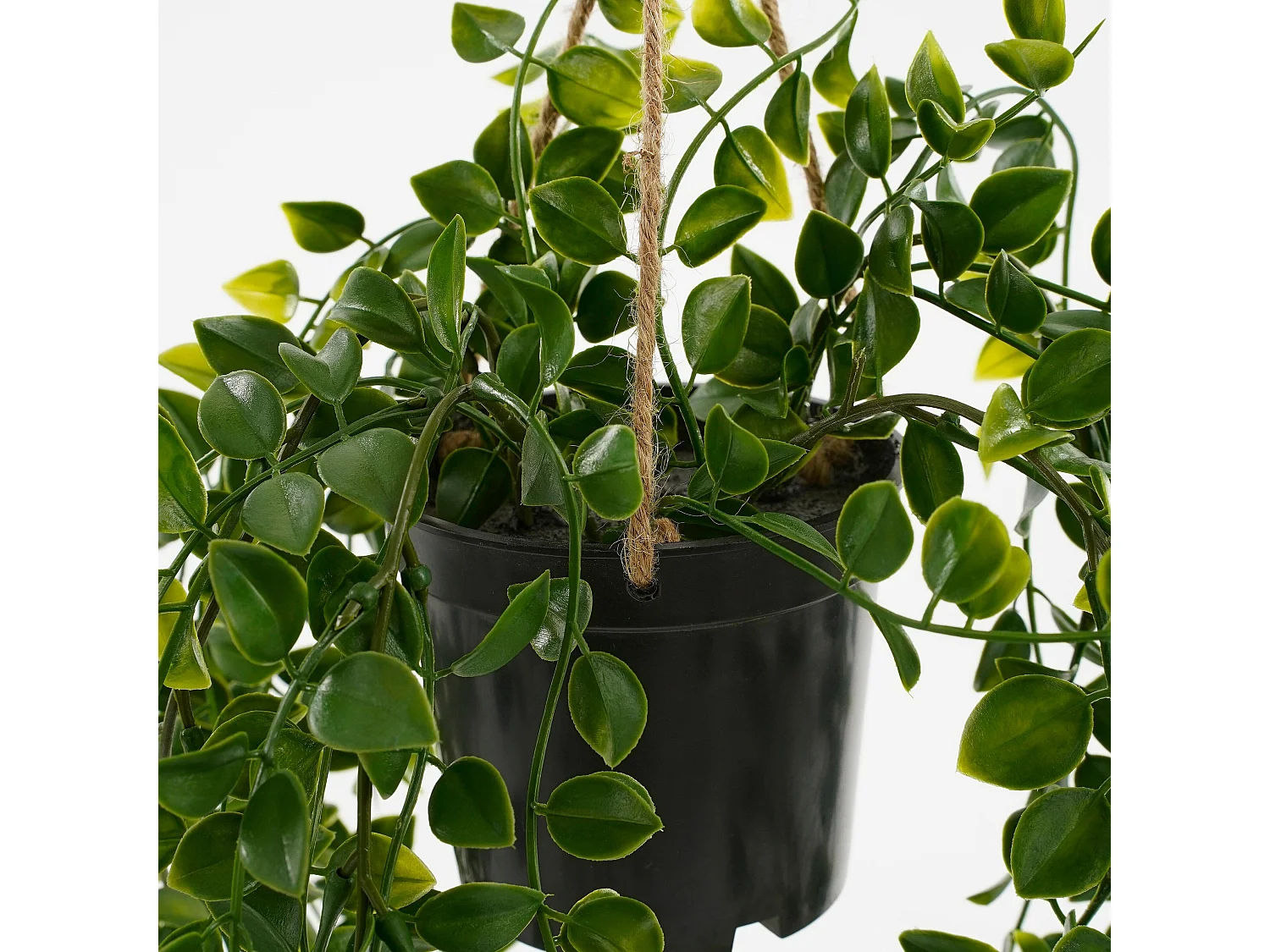 Hangende Kunstpflanze aus Plastik - 46 x Ø20 - Grün - FICUS