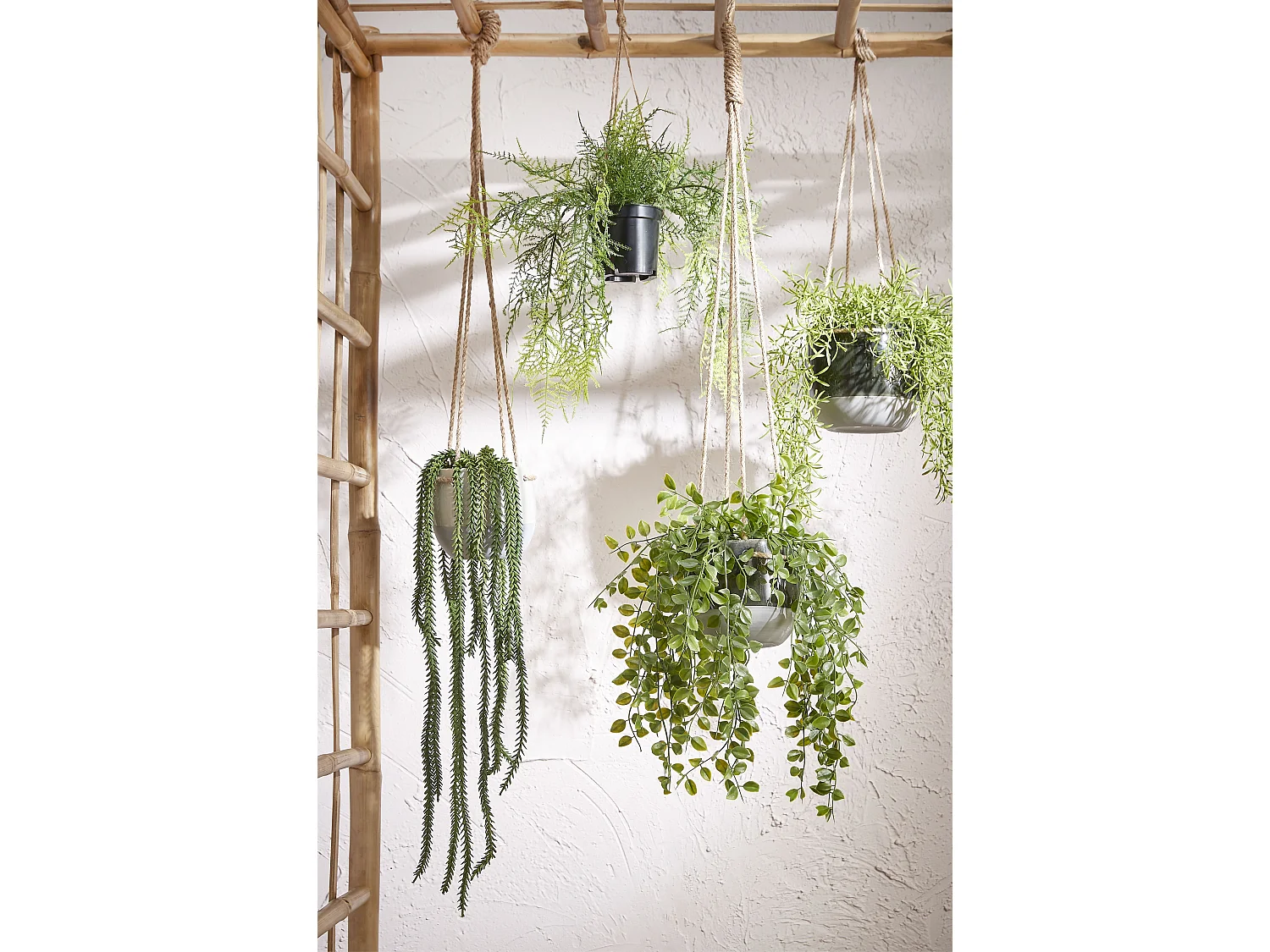 Hangende Kunstpflanze aus Plastik - 46 x Ø20 - Grün - FICUS