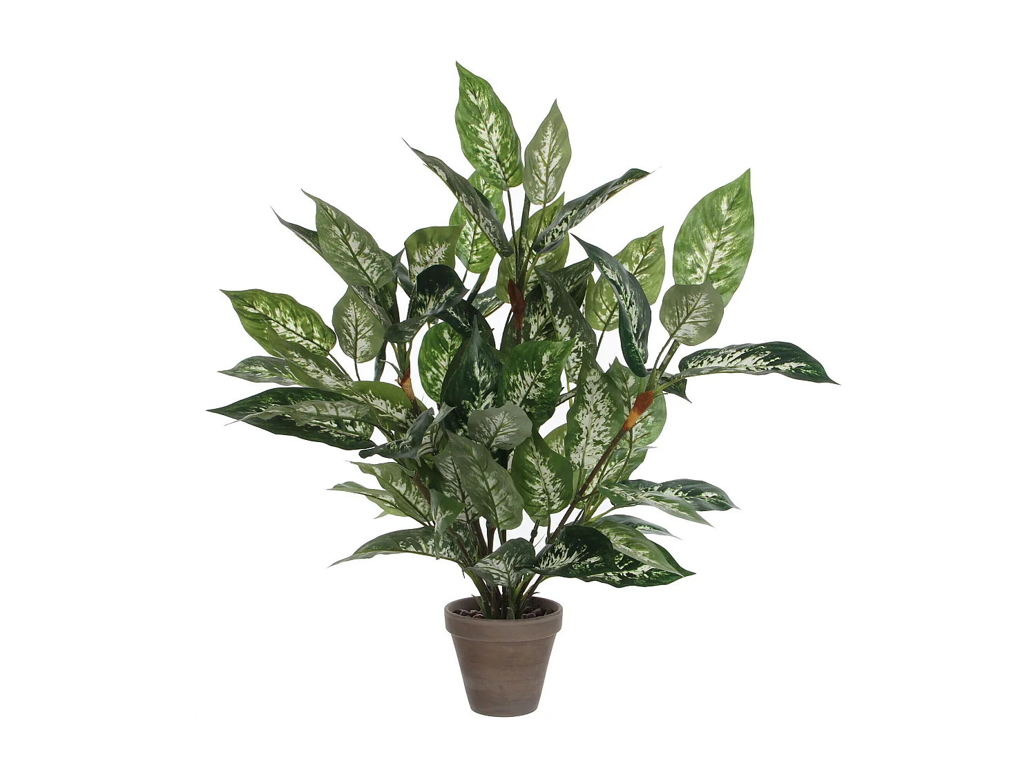 Plante artificielle en polyester et terre cuite - 70 x Ø55 - Vert - DIEFFENBACHIA