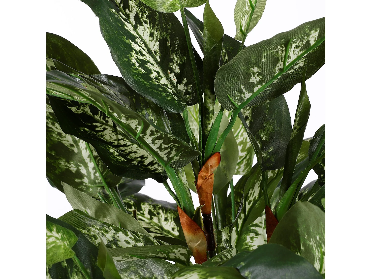 Plante artificielle en polyester et terre cuite - 70 x Ø55 - Vert - DIEFFENBACHIA