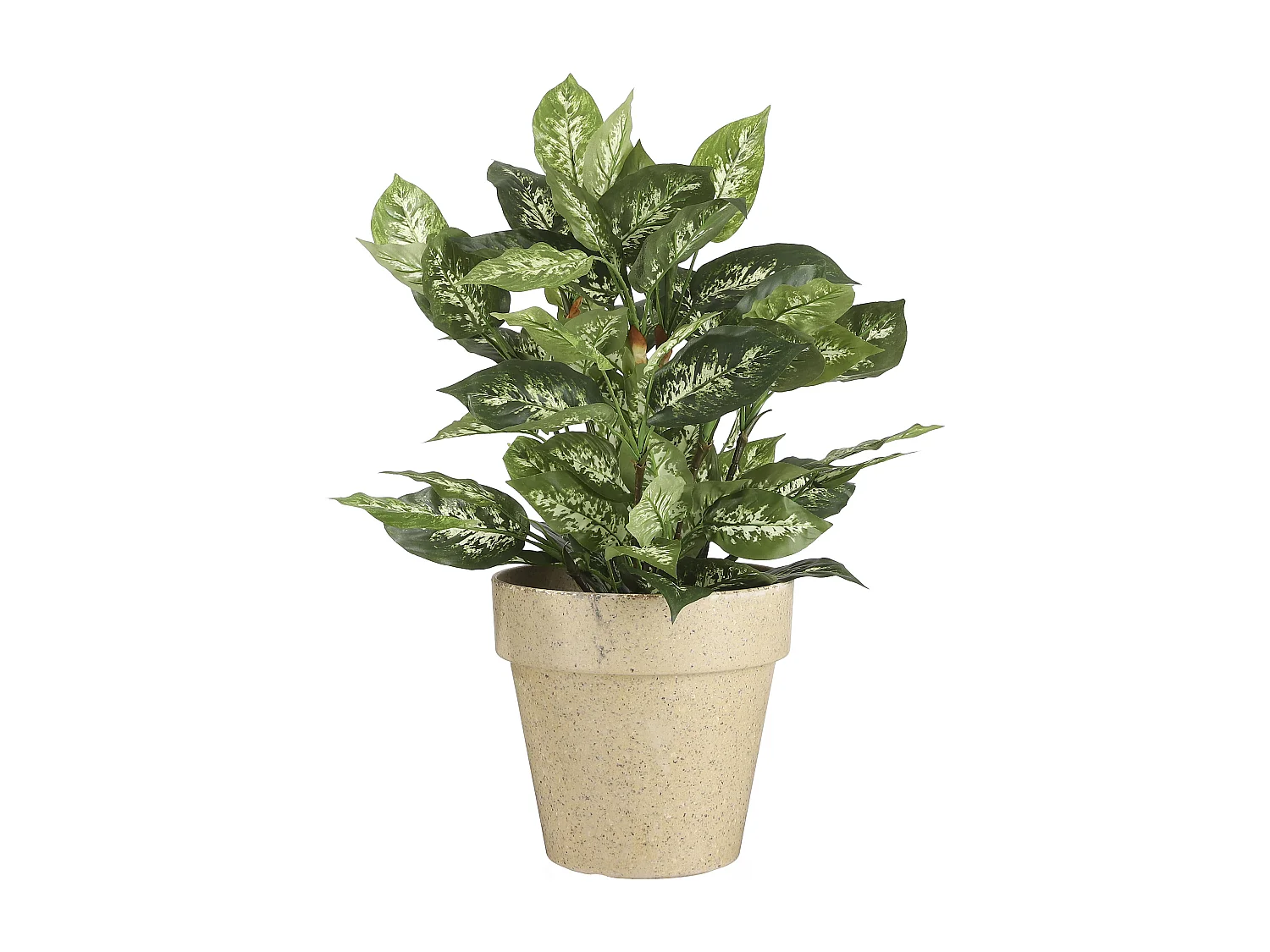 Plante artificielle en polyester et terre cuite - 70 x Ø55 - Vert - DIEFFENBACHIA