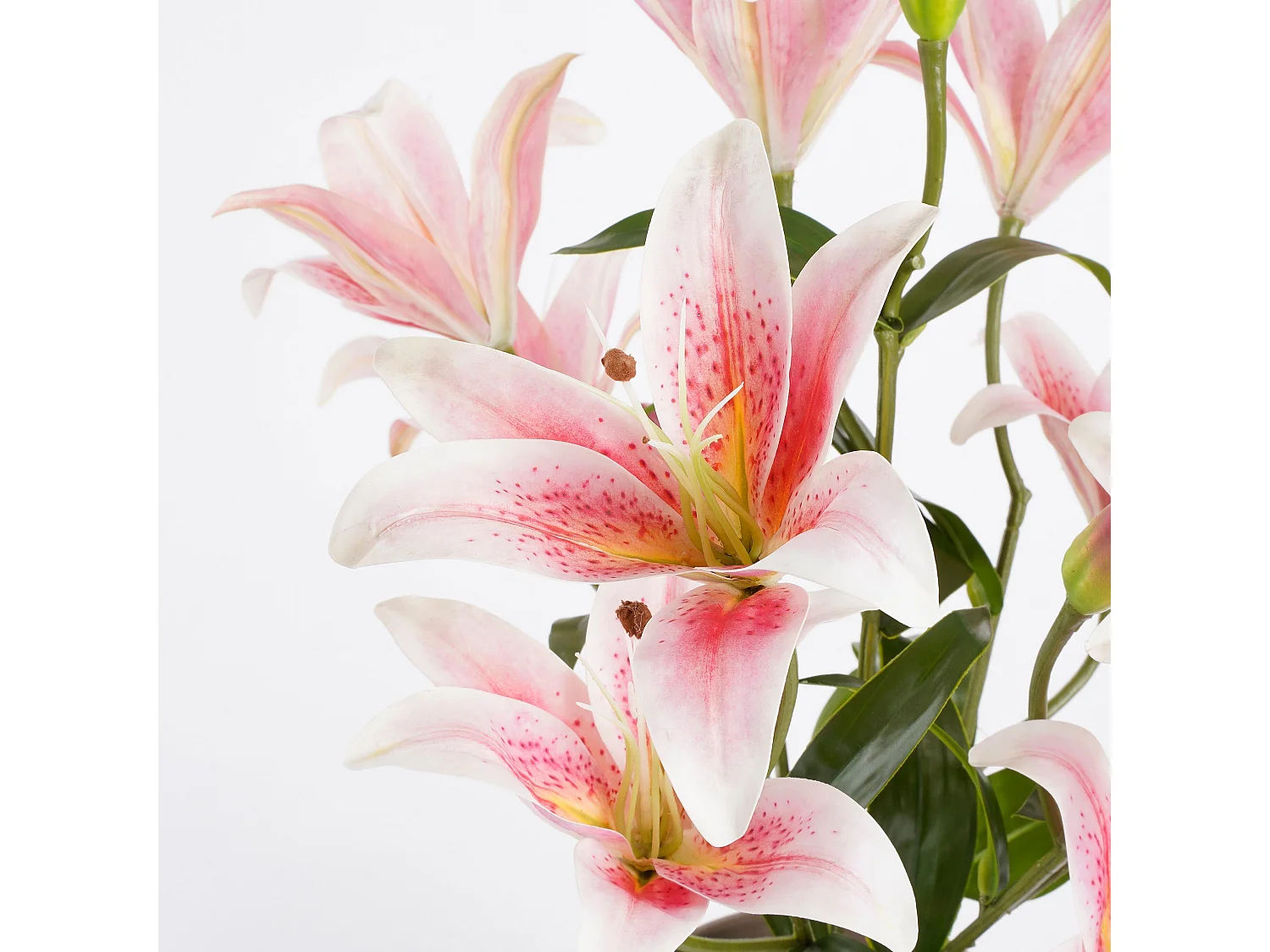 Kunstplant van polyester en terracotta - Ø45 x 47 - Roze - TIGERLILY