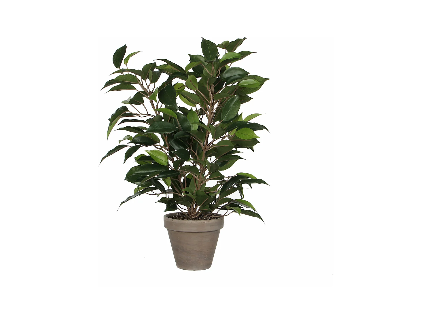 Kunstplant van polyester en terracotta - Ø30 x 40 - Groen - FICUS NATASJA