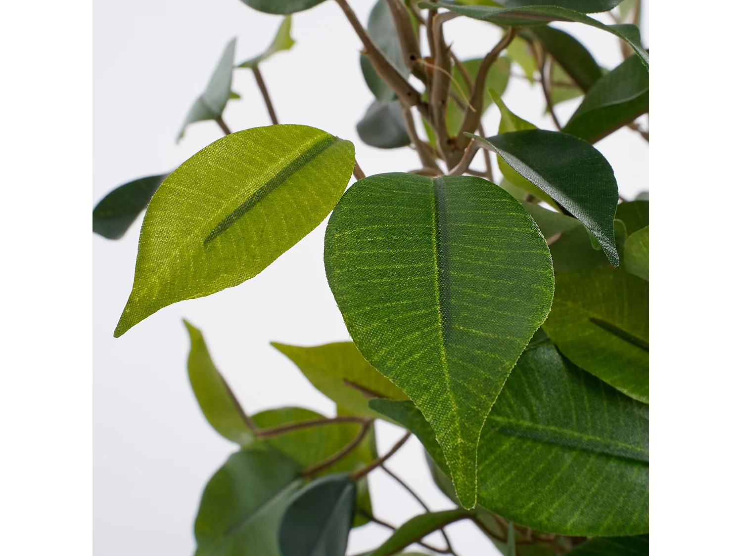 Kunstpflanze aus Polyester und Terrakotta - Ø30 x 40 - Grün - FICUS NATASJA