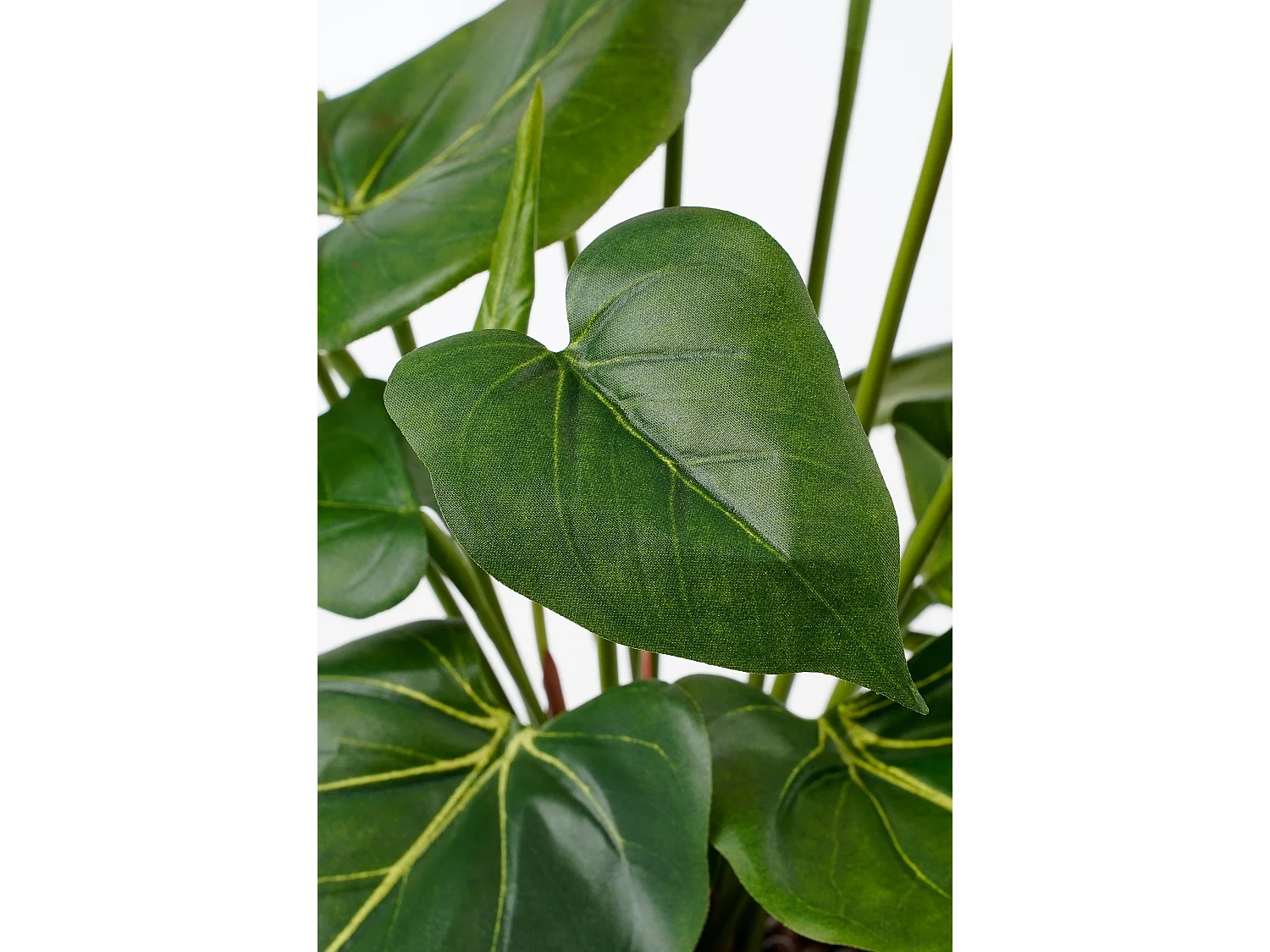 Kunstplant van polyester en terracotta - 40 x Ø30 - Rood - ANTHURIUM