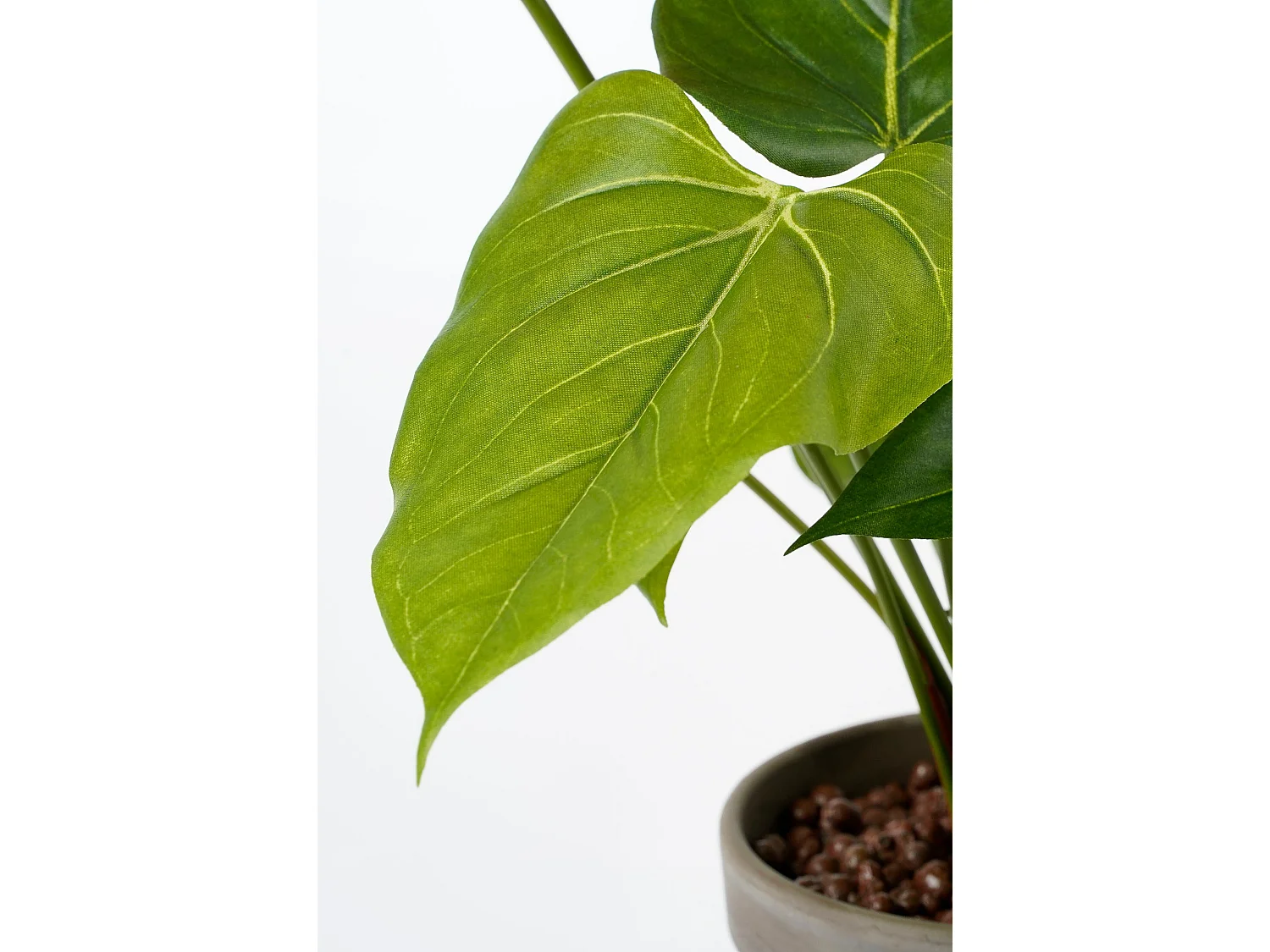 Kunstplant van polyester en terracotta - 40 x Ø30 - Rood - ANTHURIUM