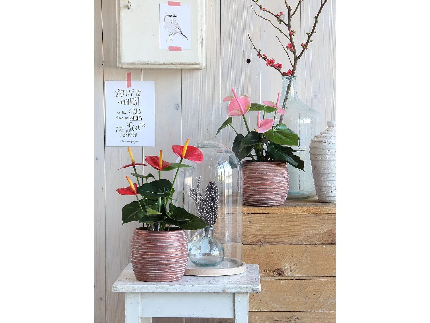 Kunstplant van polyester en terracotta - 40 x Ø30 - Rood - ANTHURIUM