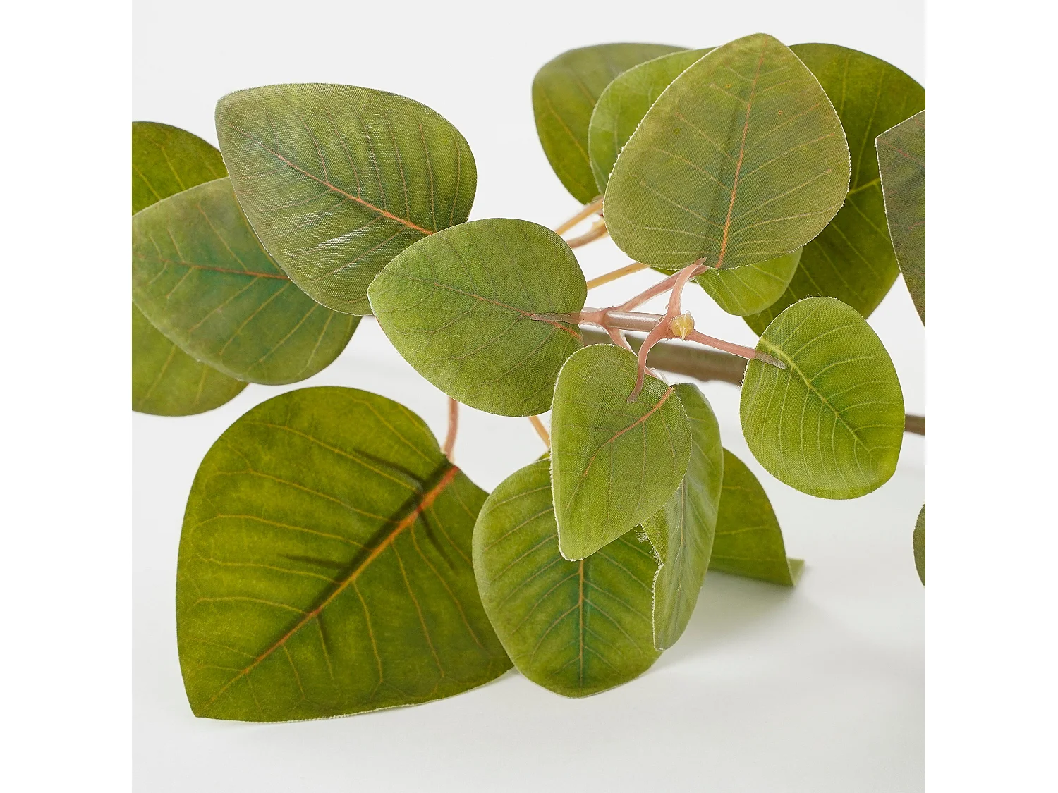 Kunstpflanze aus Polyester - 64 x 28 x 12 - Grün - EUCALYPTUS