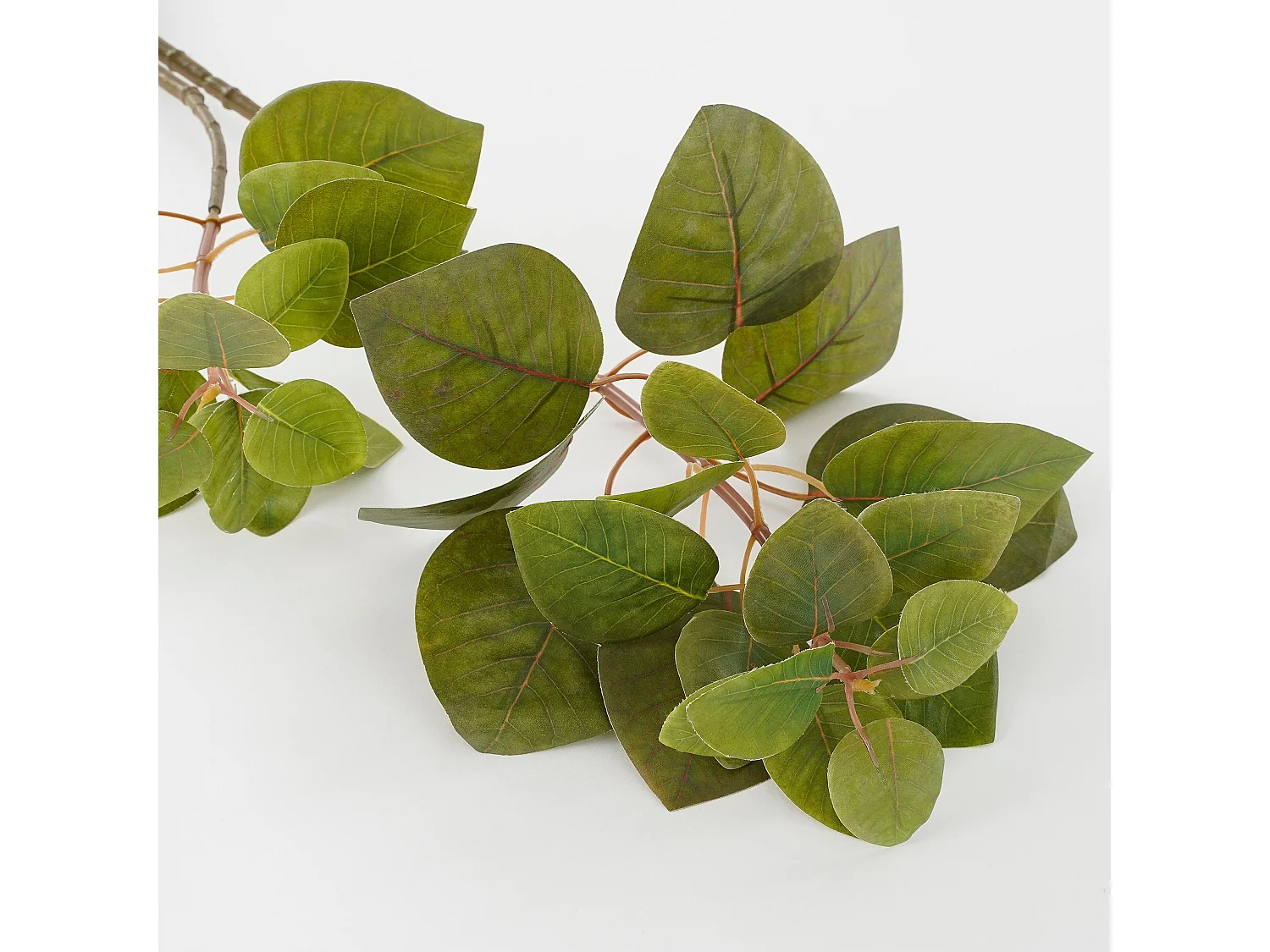 Kunstpflanze aus Polyester - 64 x 28 x 12 - Grün - EUCALYPTUS