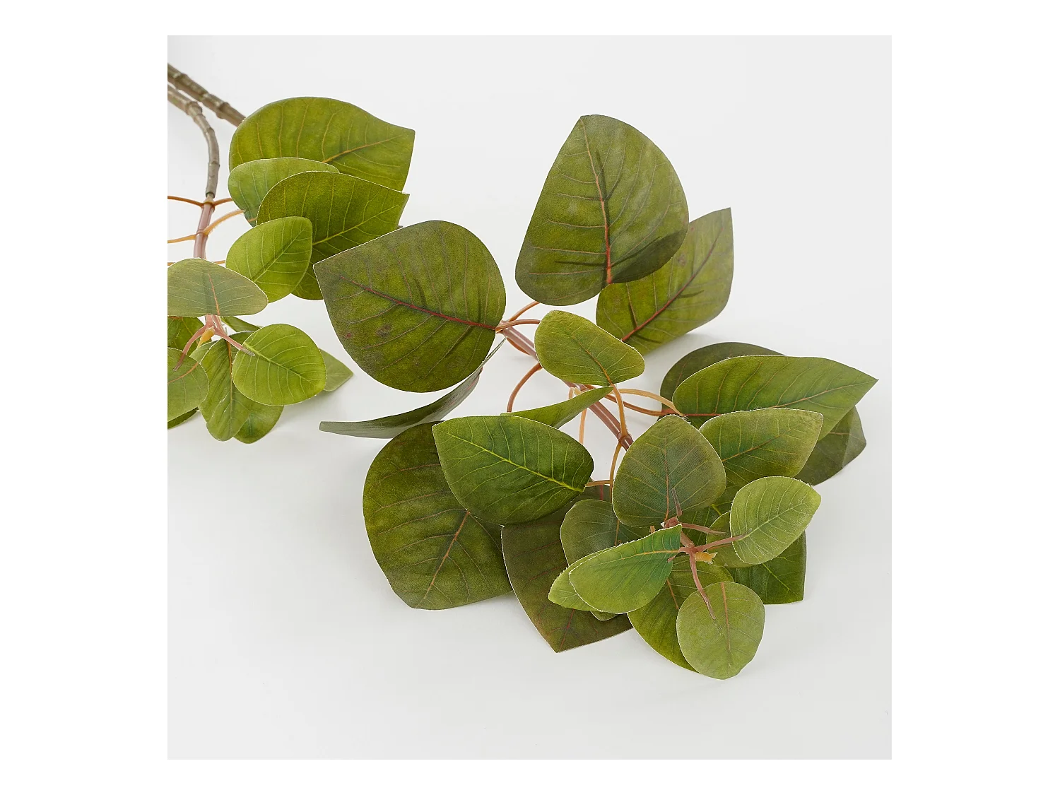 Kunstplant van polyester - 64 x 28 x 12 - Groen - EUCALYPTUS