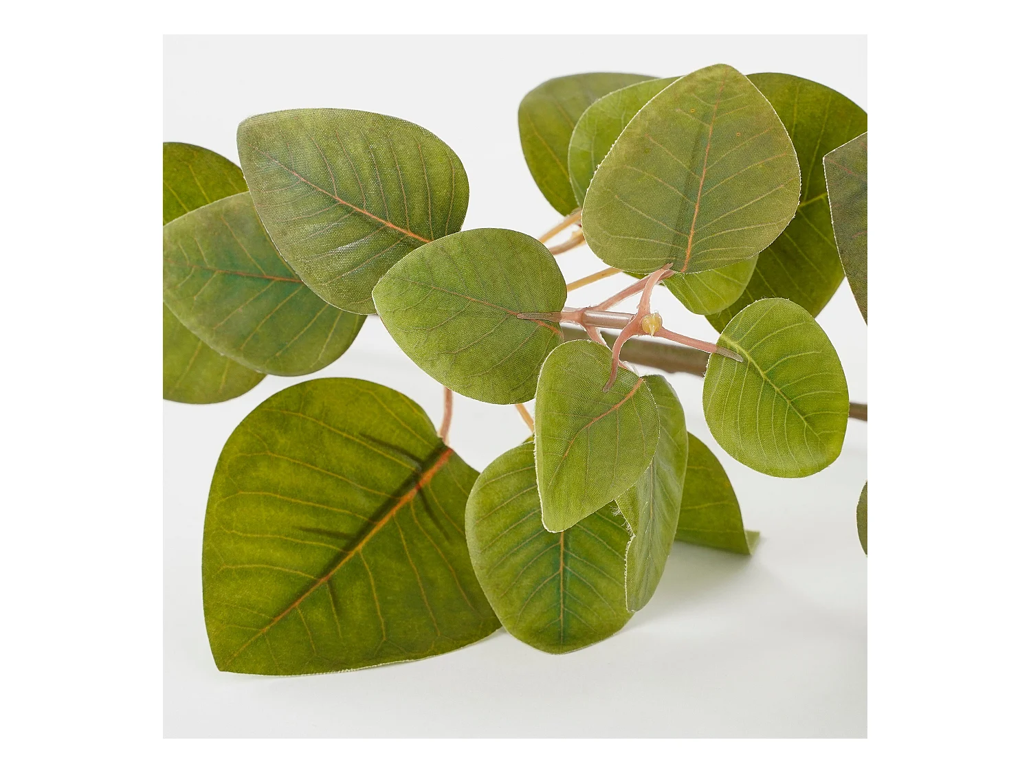 Kunstplant van polyester - 64 x 28 x 12 - Groen - EUCALYPTUS