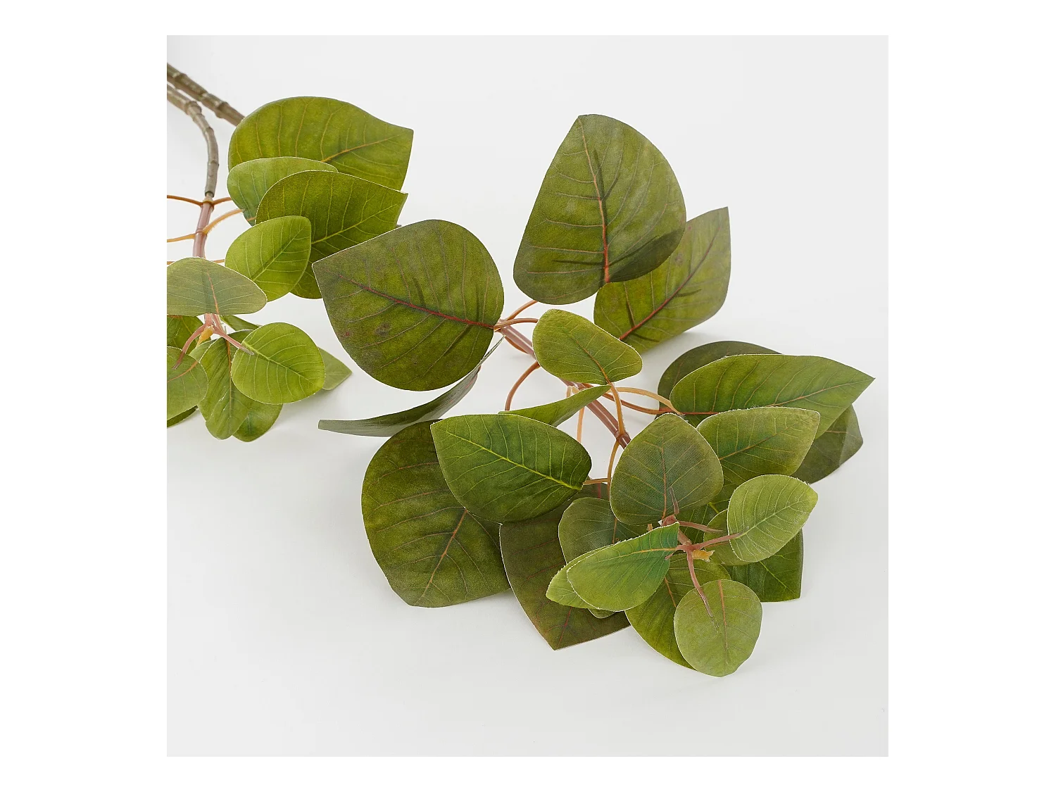 Kunstplant van polyester - 64 x 28 x 12 - Groen - EUCALYPTUS
