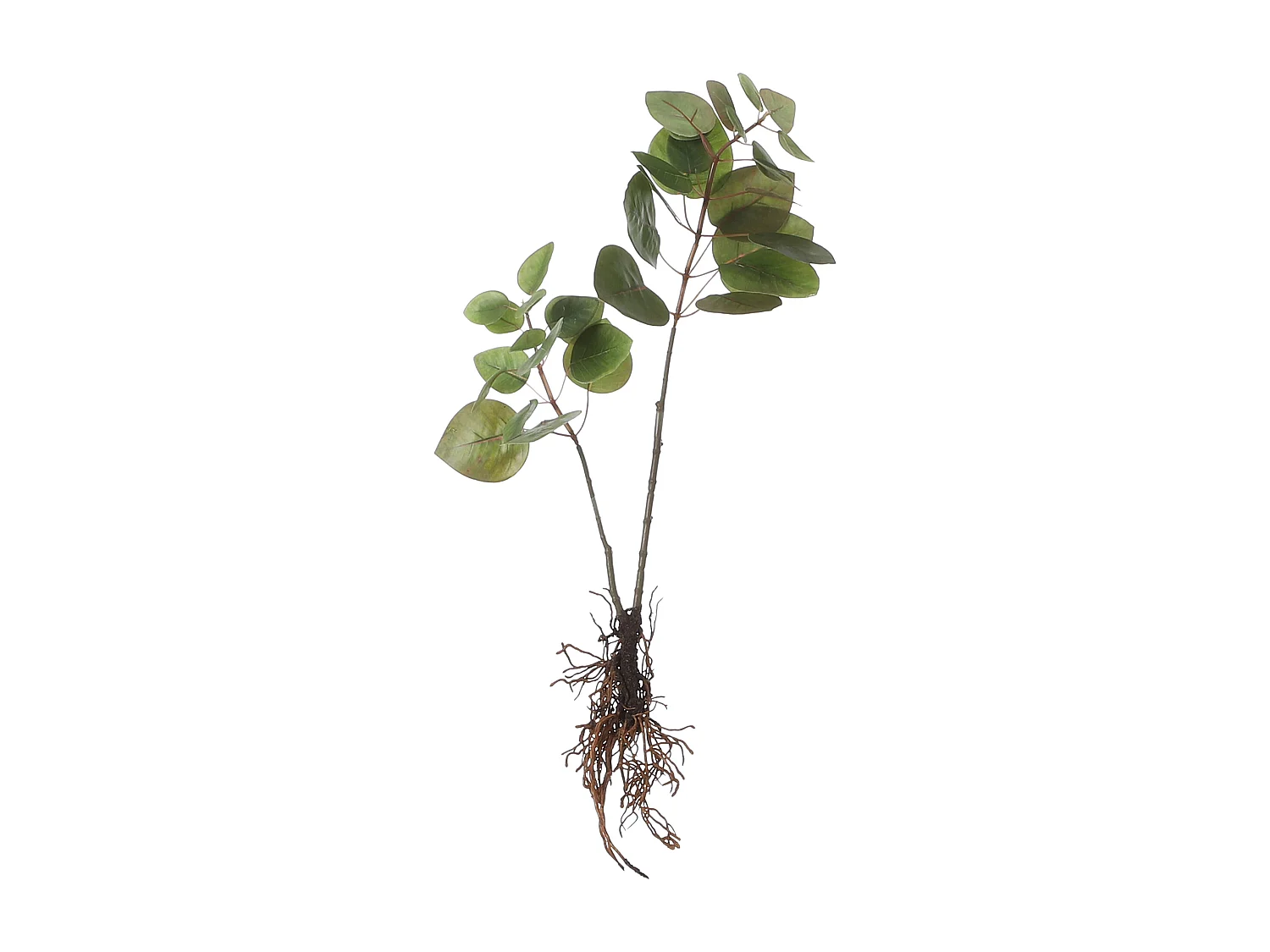 Plante artificielle en polyester - 64 x 28 x 12 - Vert - EUCALYPTUS