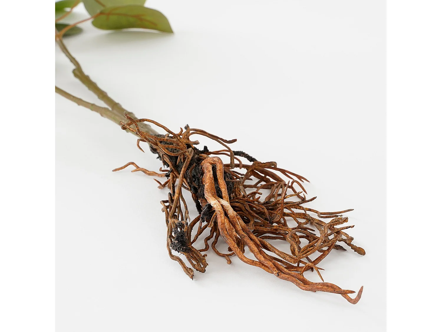 Plante artificielle en polyester - 64 x 28 x 12 - Vert - EUCALYPTUS