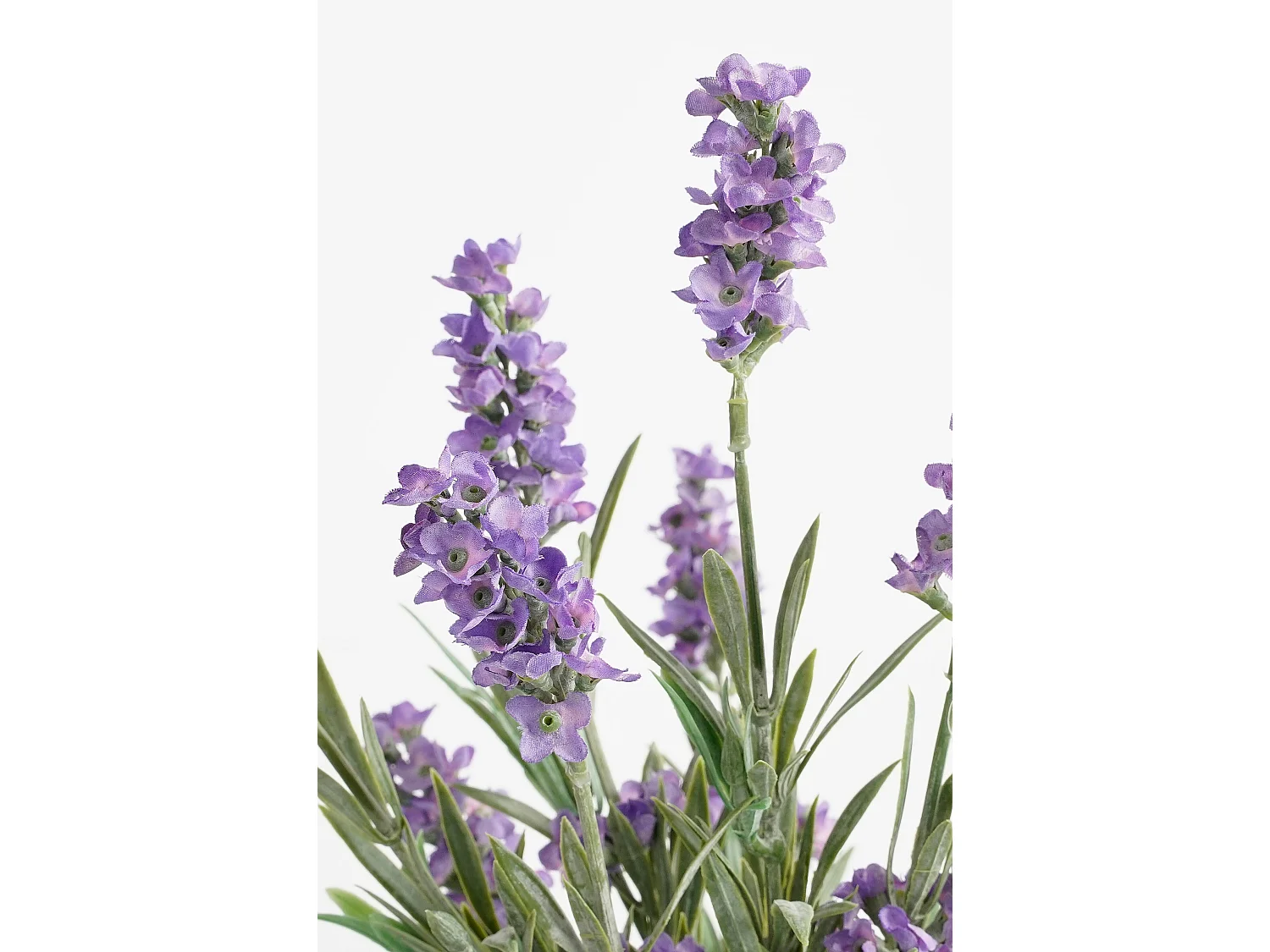 Kunstplant van polyester en terracotta - 33 x Ø20 - Paars - LAVENDER