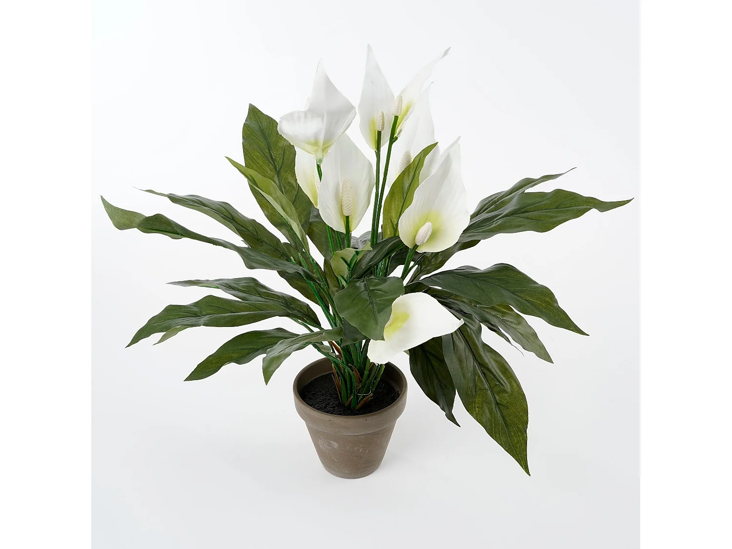 Plante artificielle en polyester et terre cuite - 50 x Ø40 - Blanc - SPATHIPHYLLUM