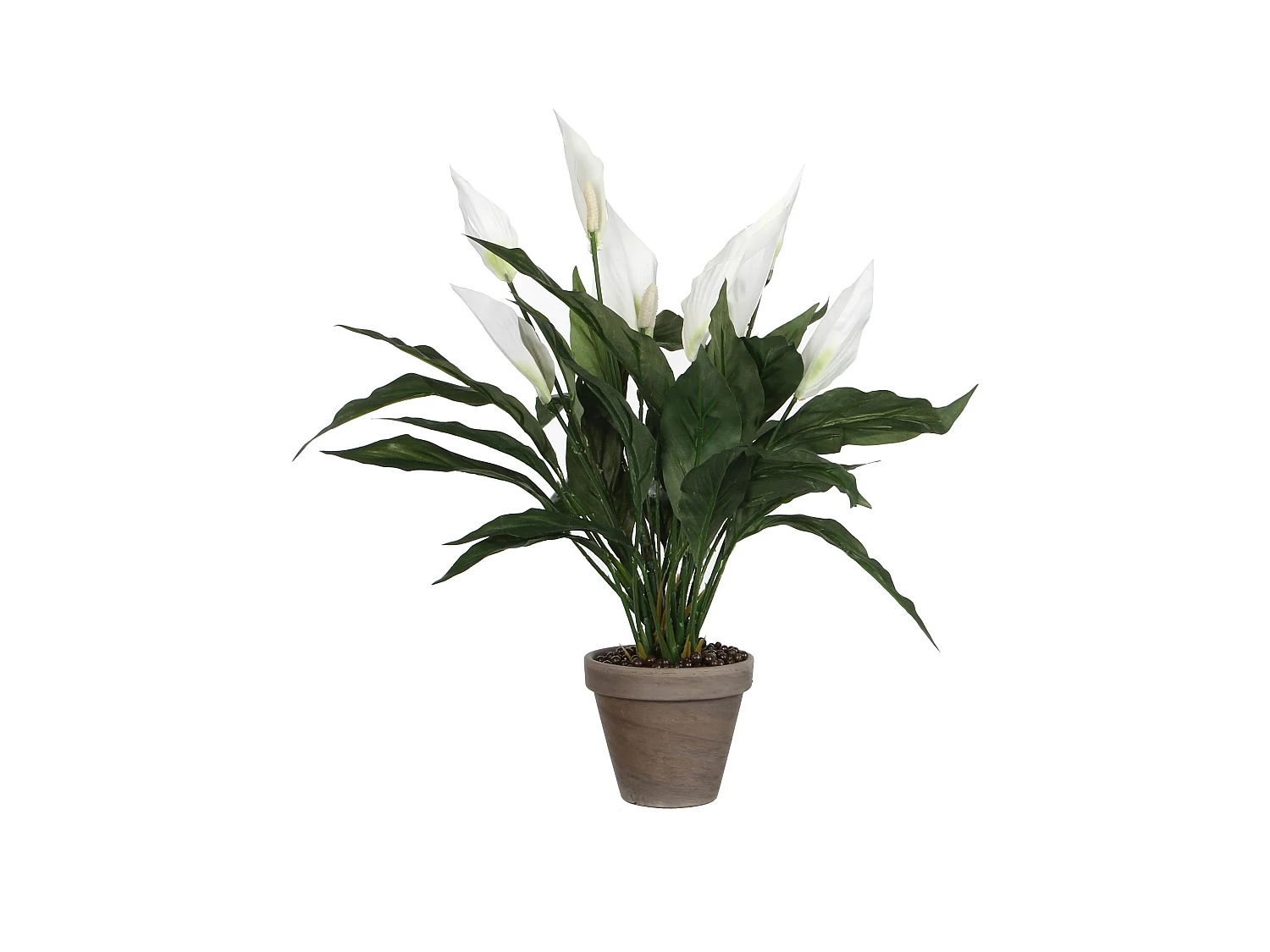 Plante artificielle en polyester et terre cuite - 50 x Ø40 - Blanc - SPATHIPHYLLUM