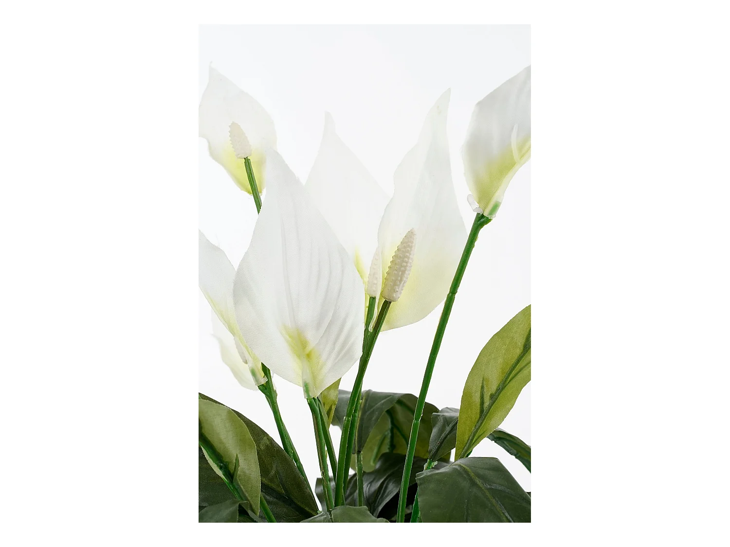 Kunstpflanze aus Polyester und Terrakotta - 50 x Ø40 - Weiß - SPATHIPHYLLUM